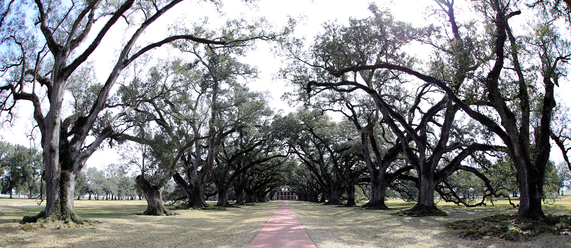 13-Oackley Plantation