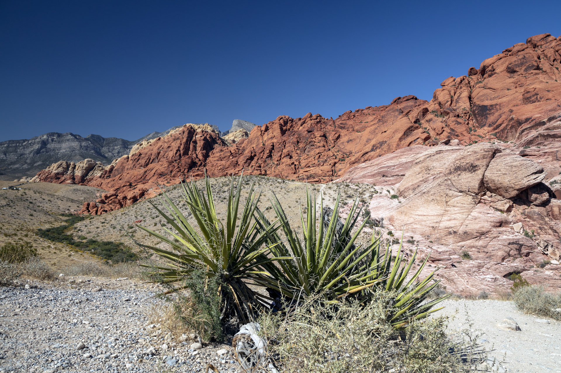 02-Red Rock Canyon NP