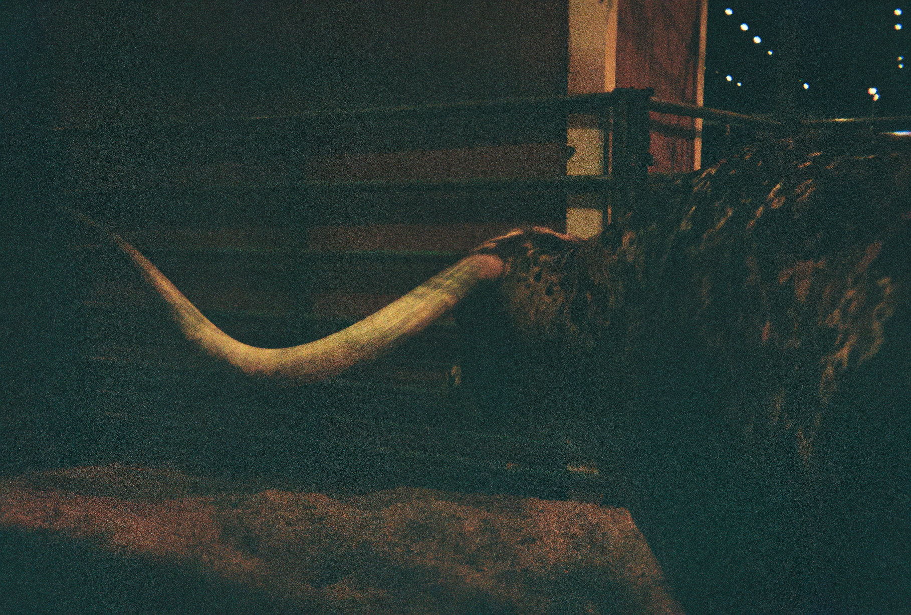 Longhorn (FILM)