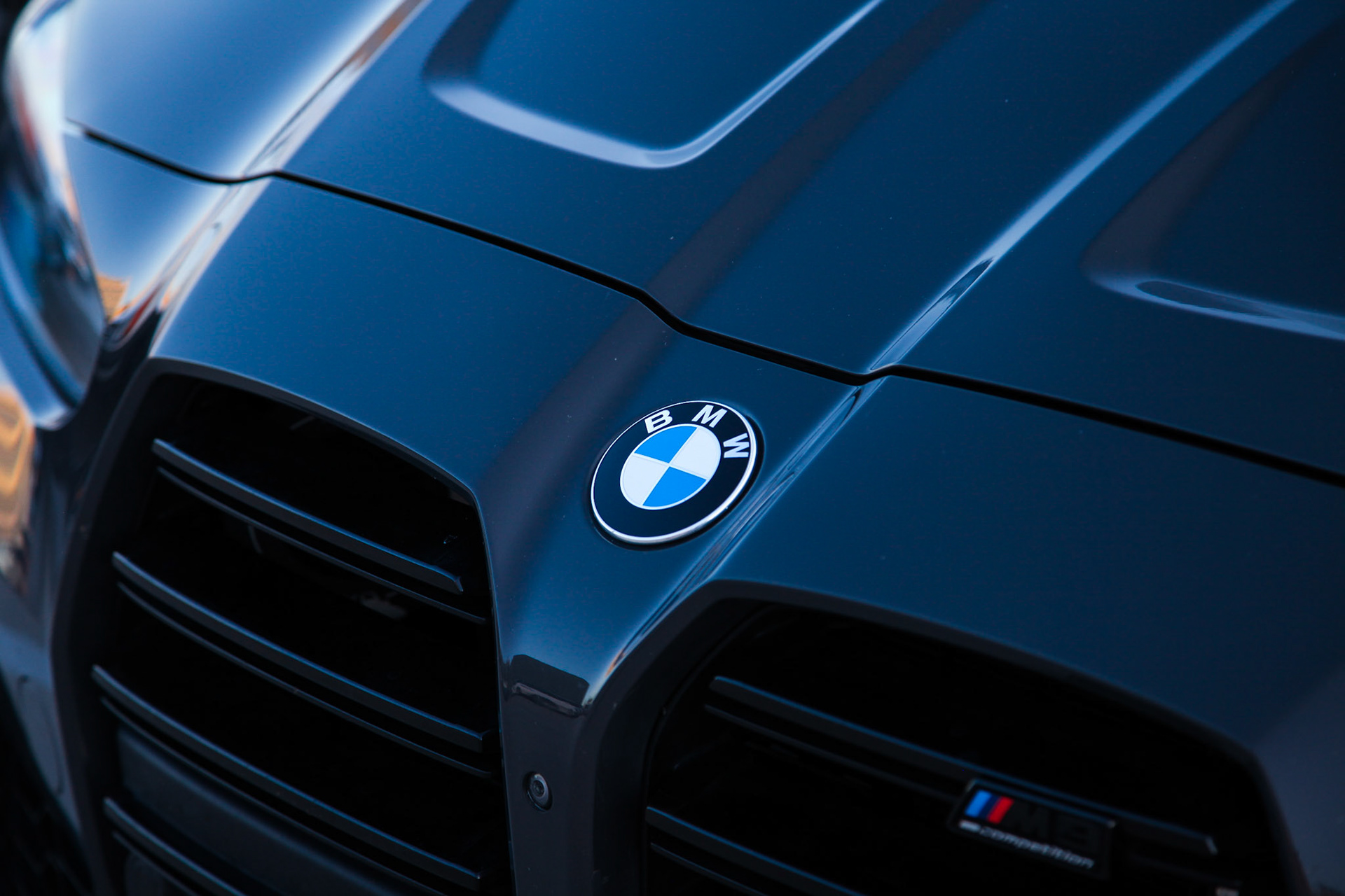 BMW Emblem