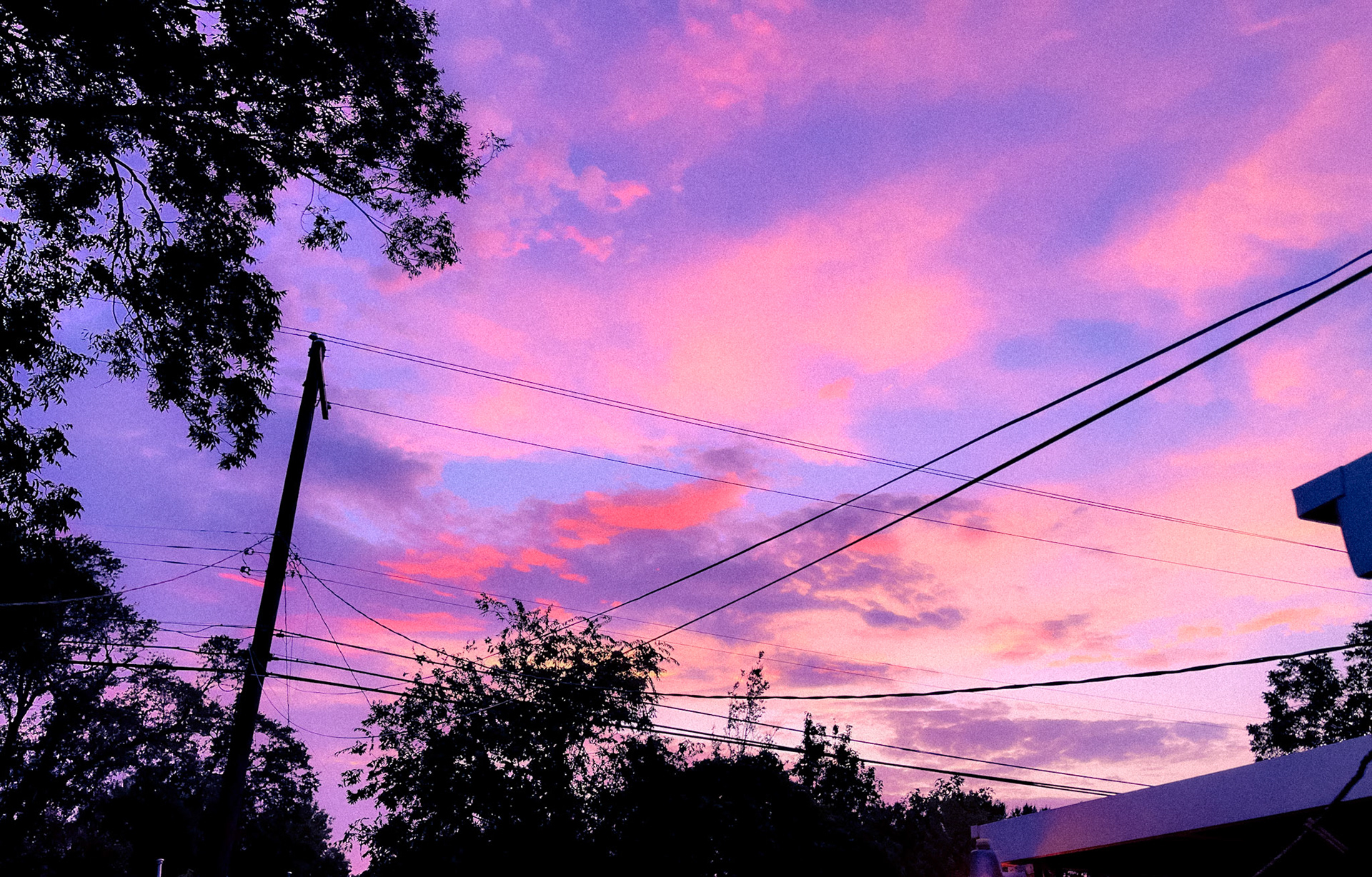 Pink Sky