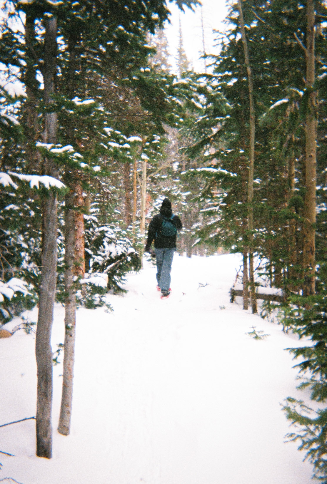 On a hike (FILM)