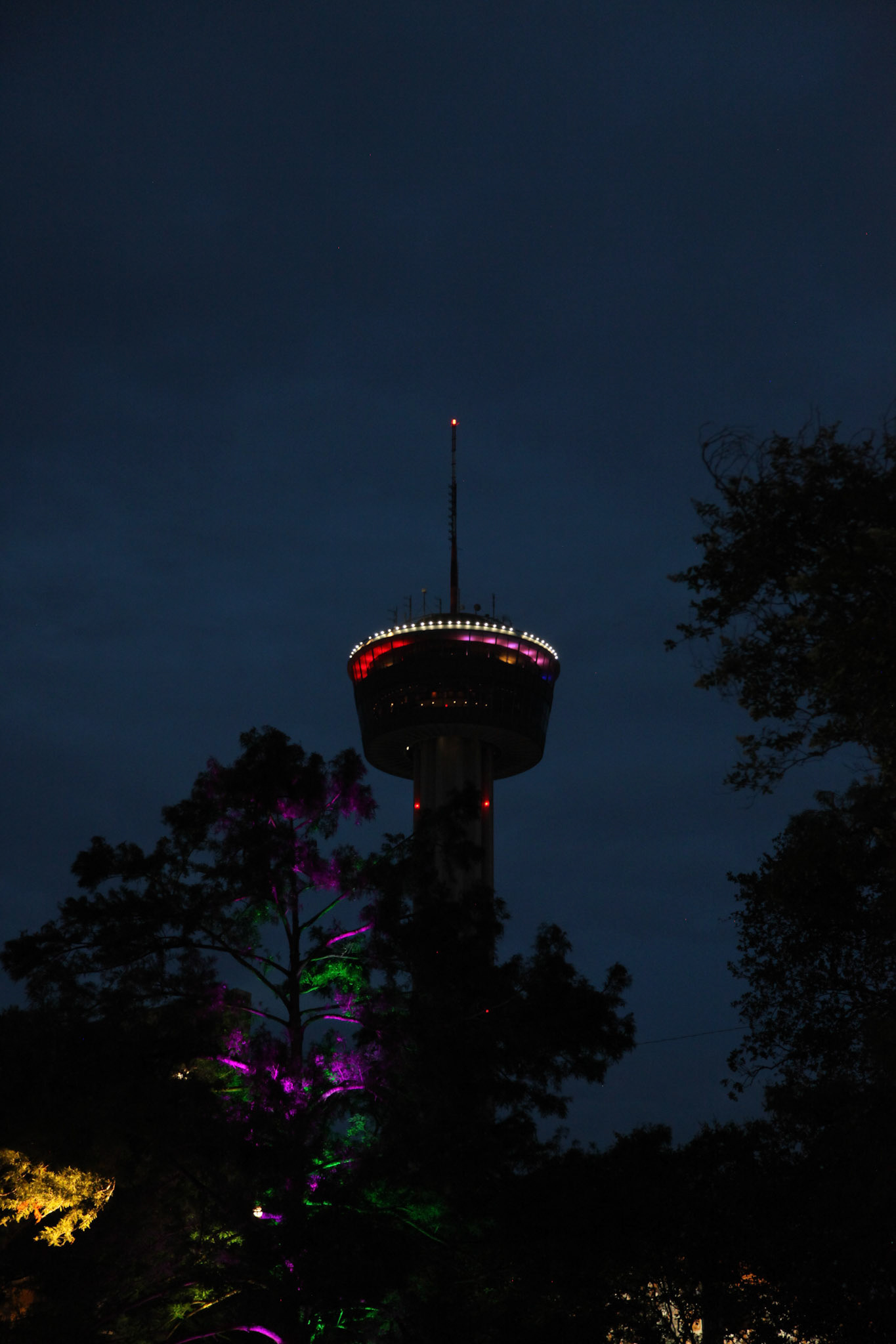 Space Needle (Night)