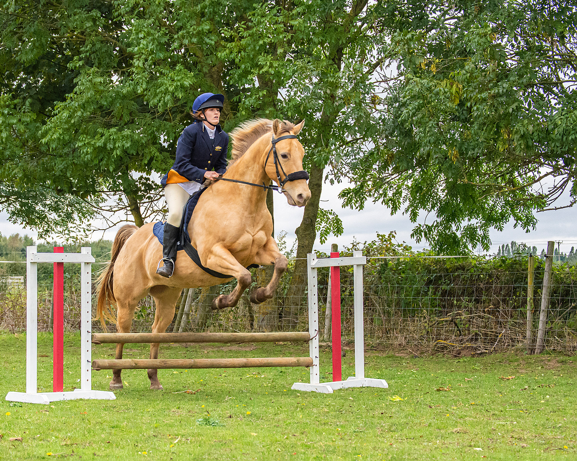 Horse and rider jumping a fence in winterton, North Lincolnshire