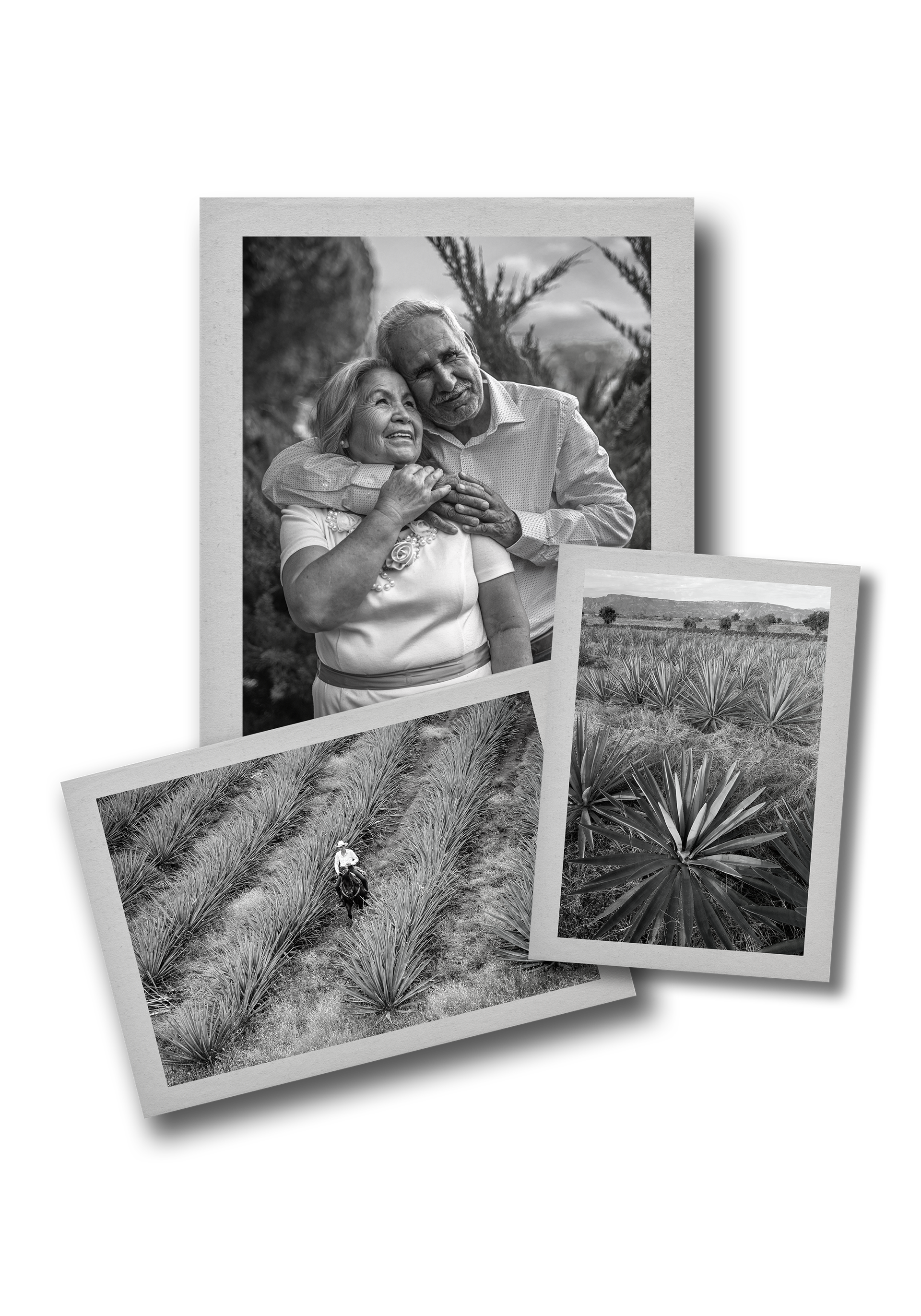 Photo collage of Luis and his wife along with the blue agave fields