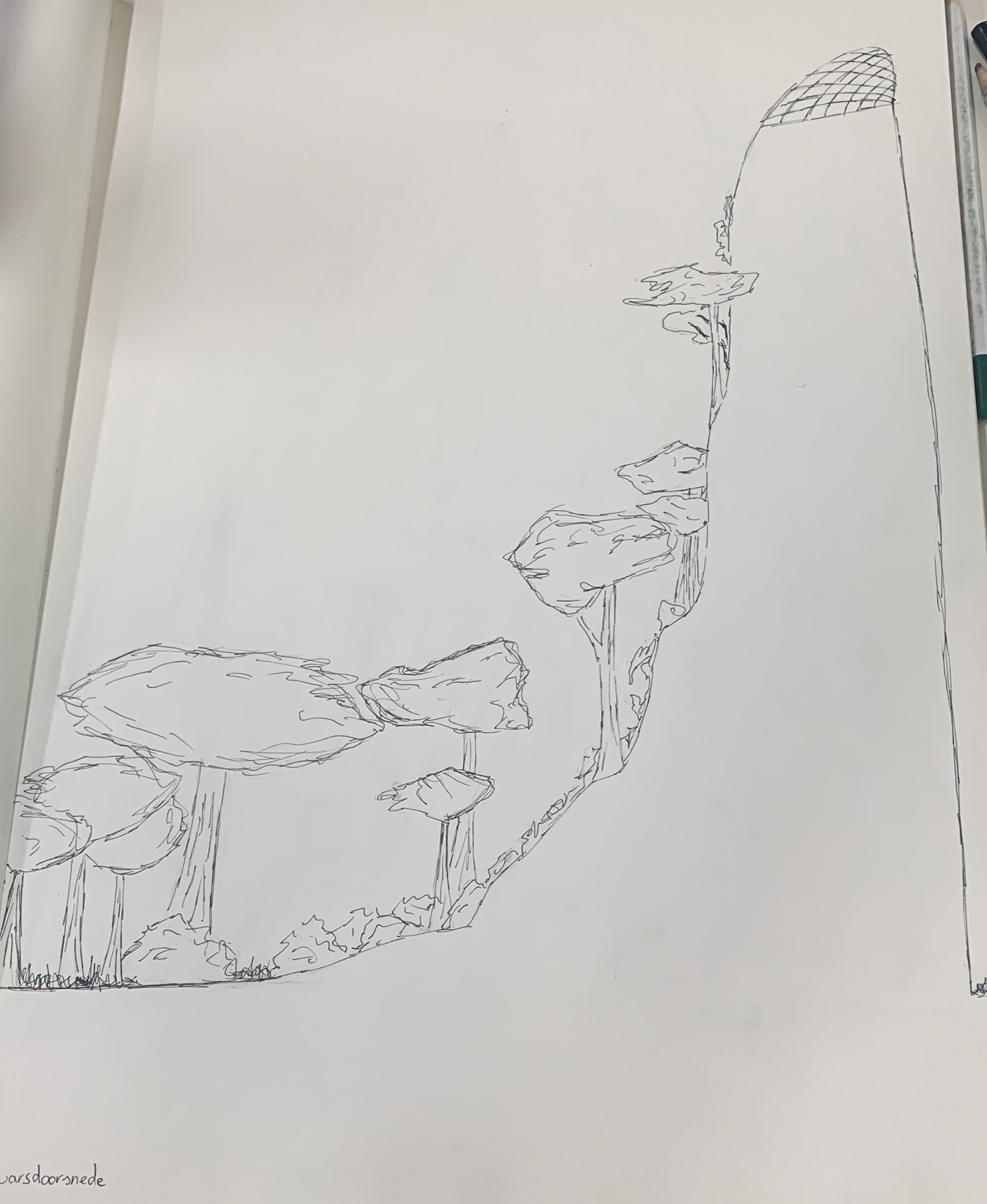 A sketch in begin stadium of the project