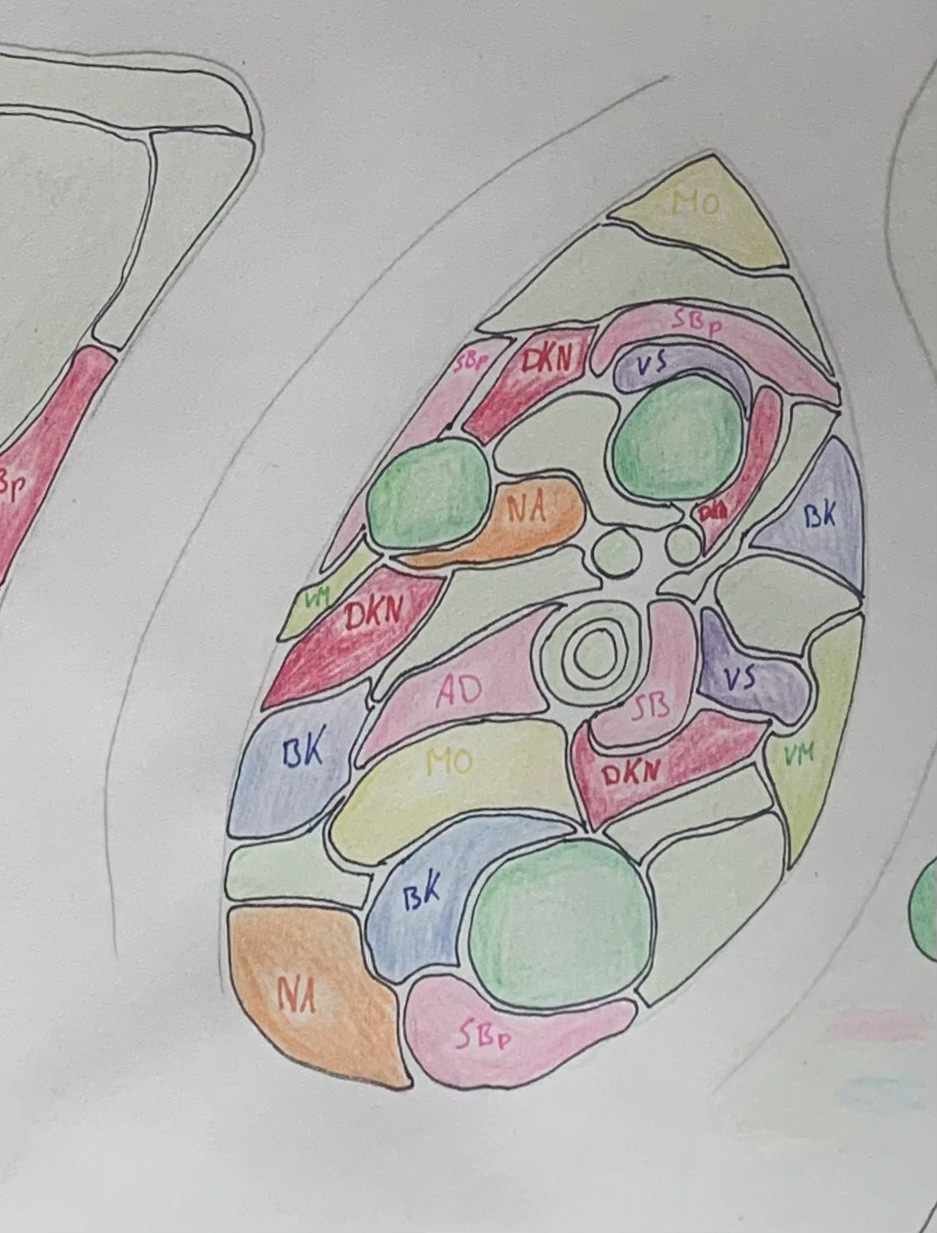 A close-up of the summer time