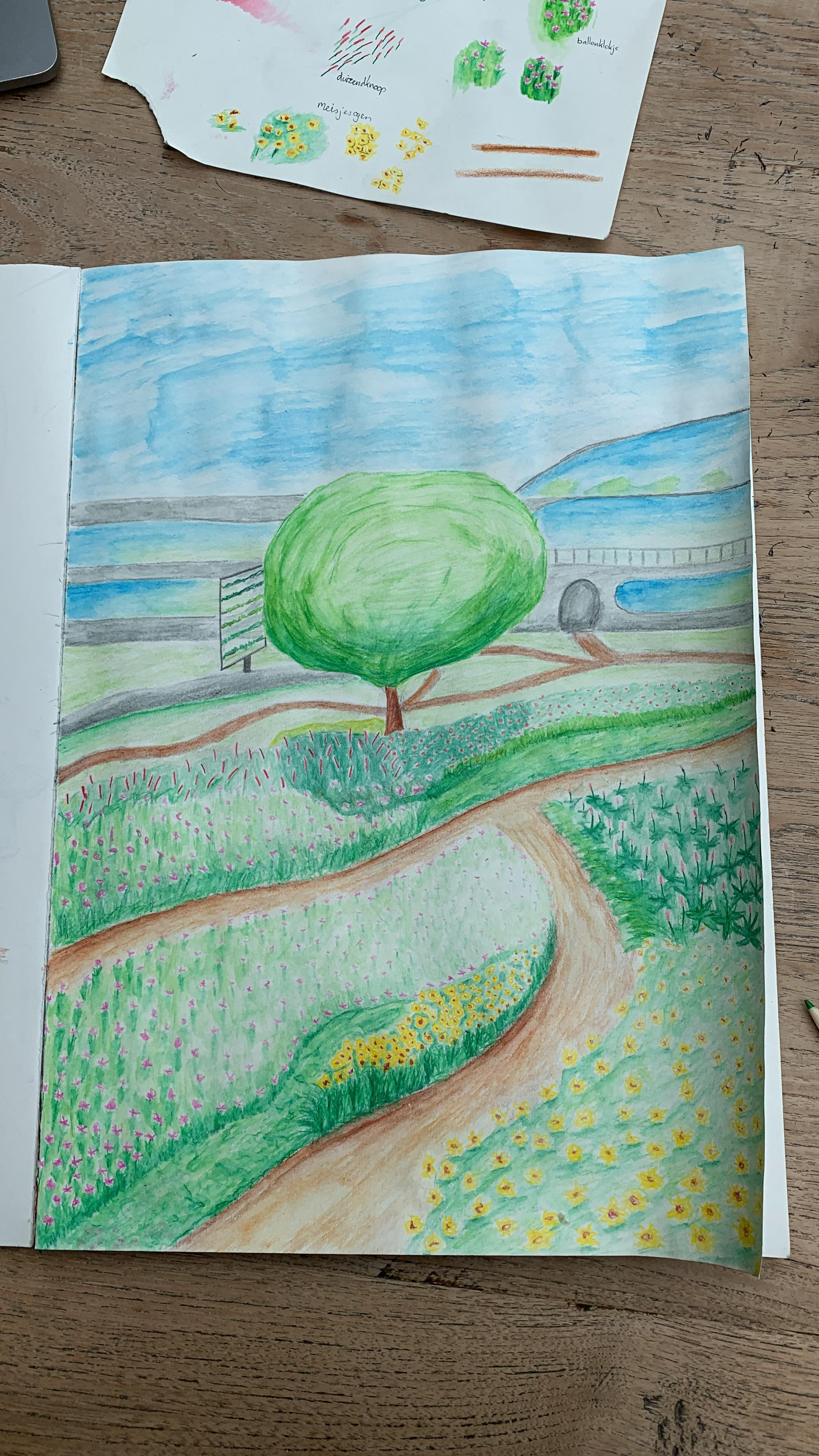 A visualization of the site