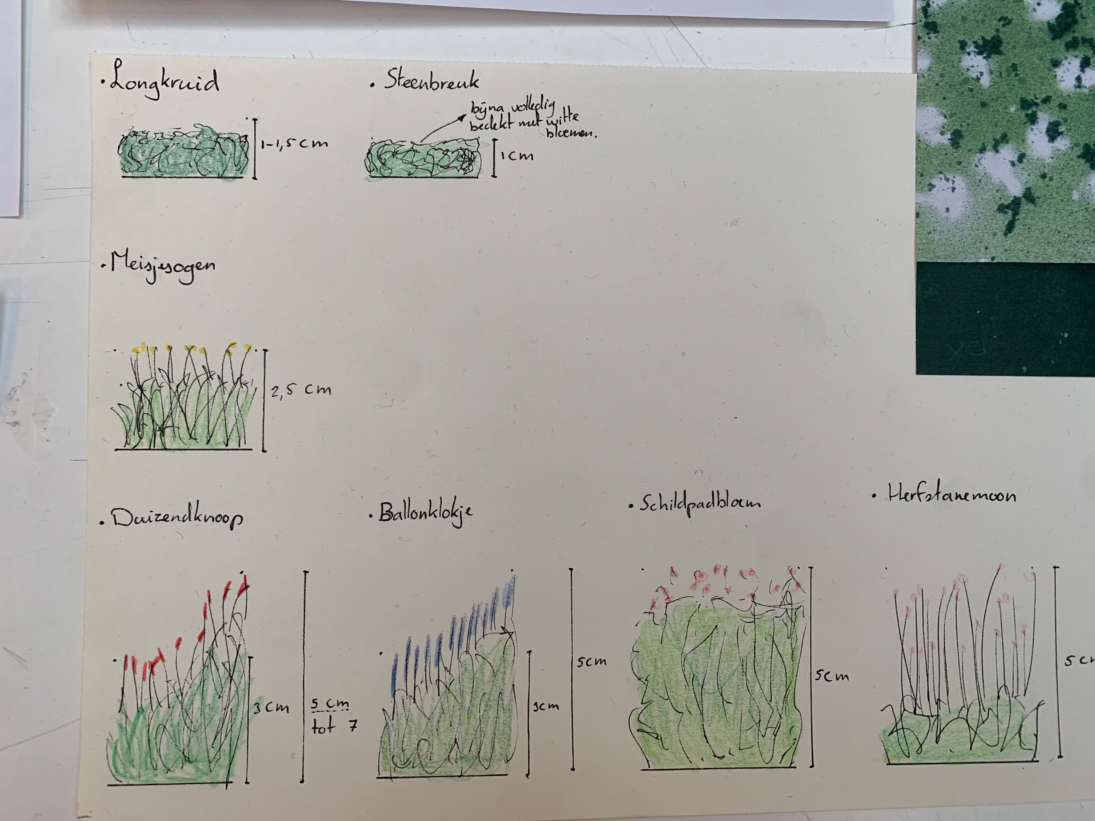 All the plants defined and prepared how they should look