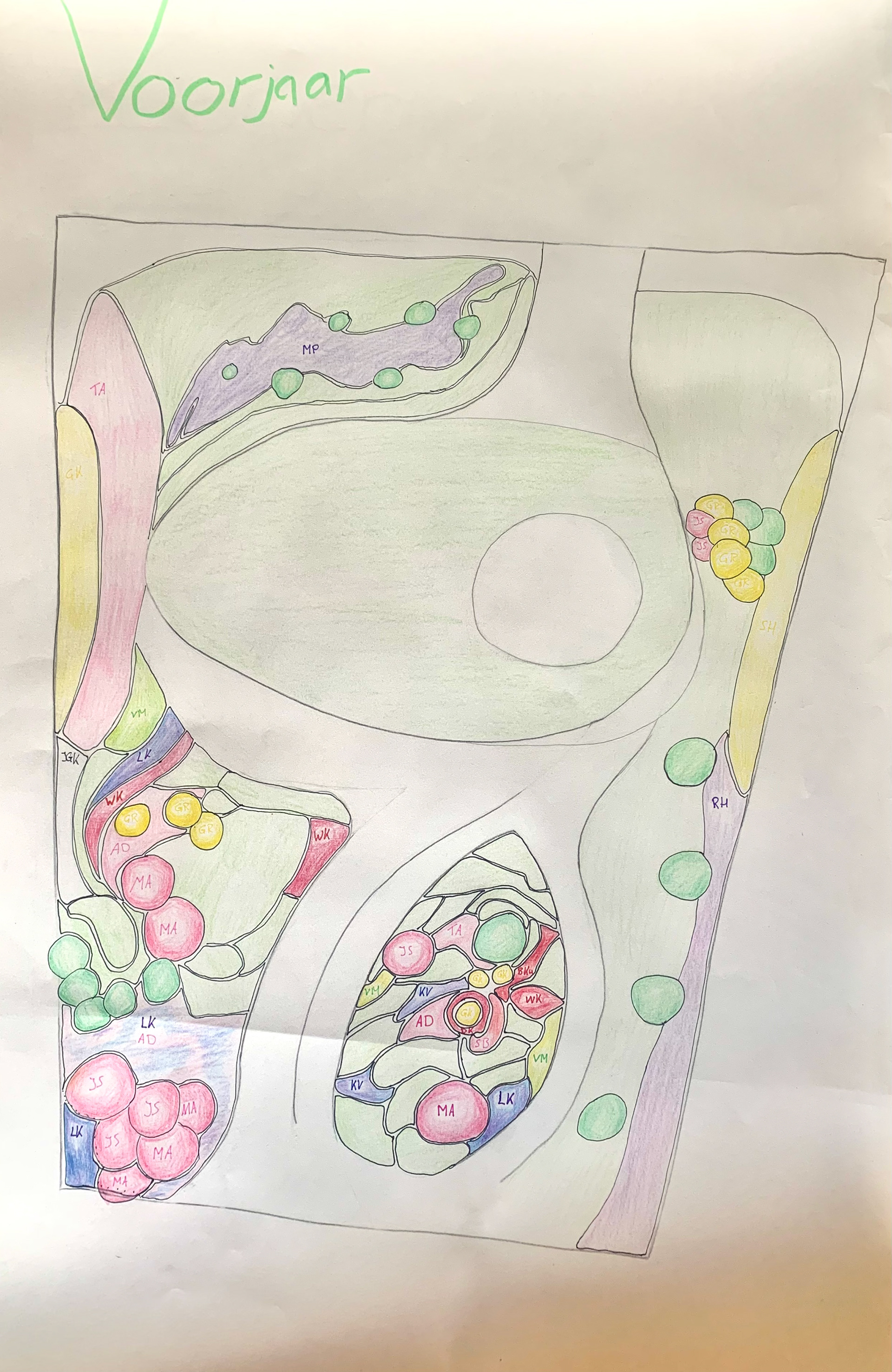 The garden in Spring