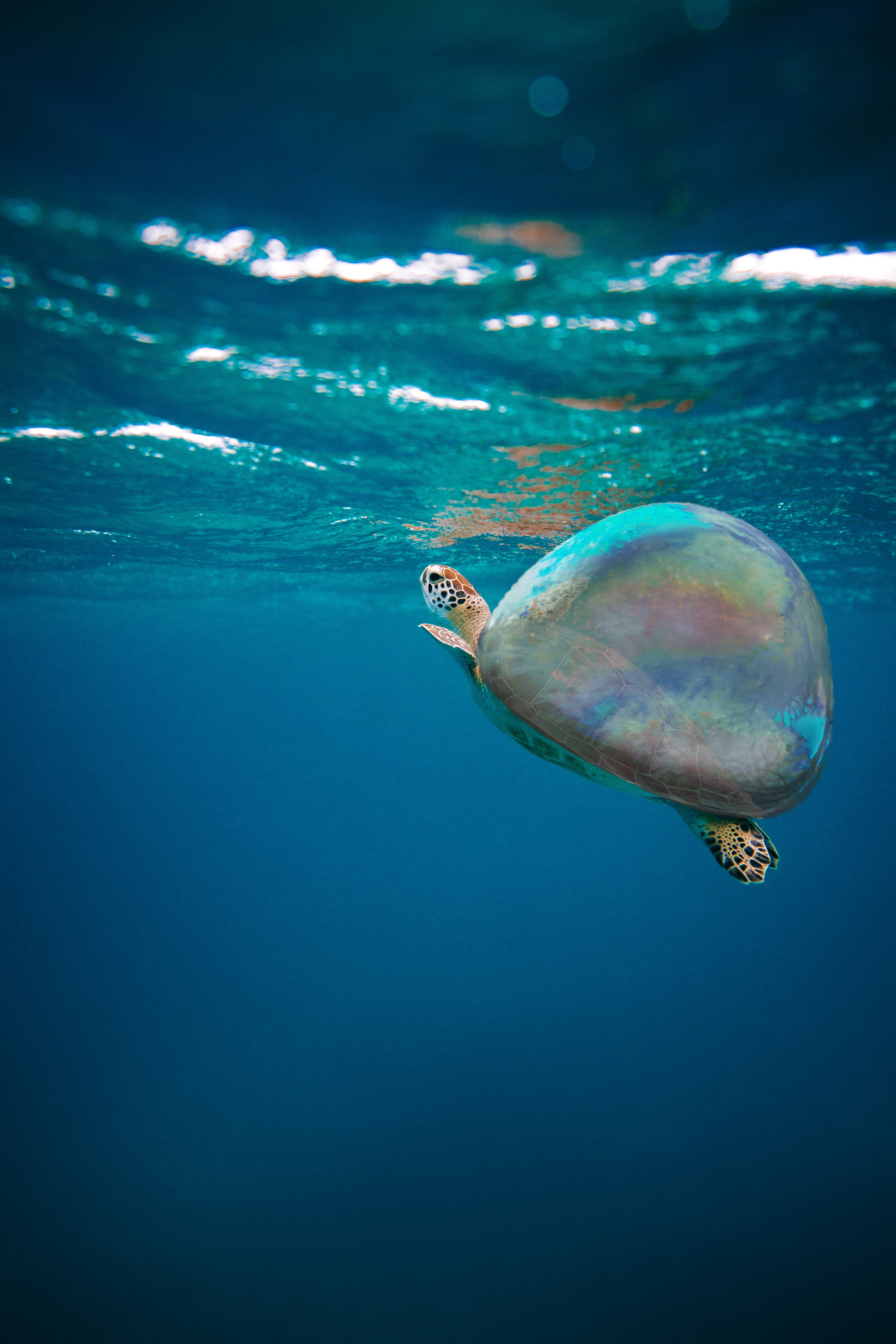 Impossible Composite