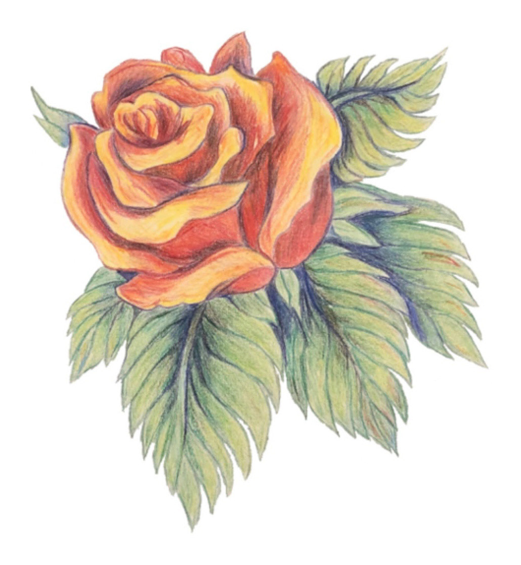 Rose