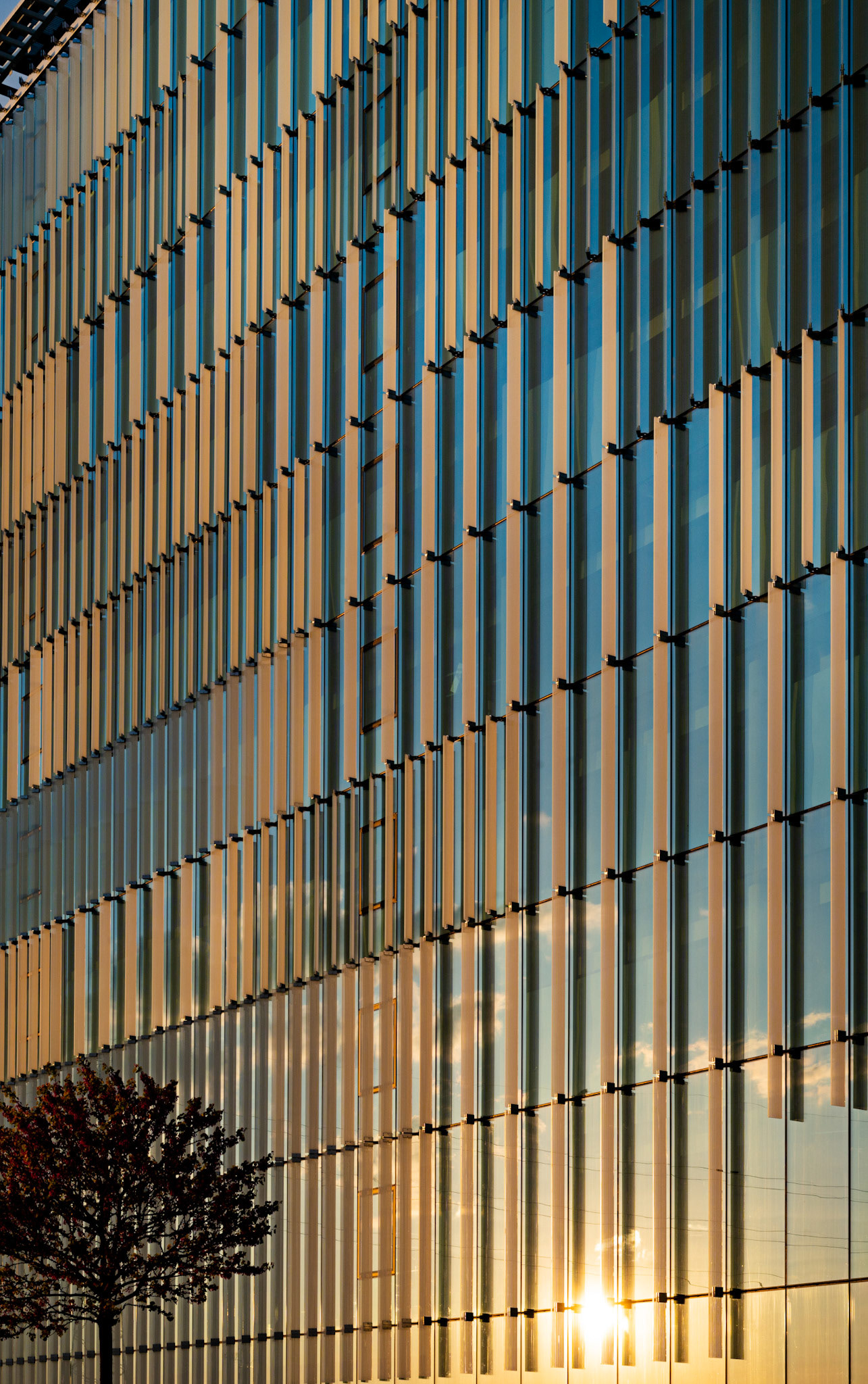 Milano Fiori architecture sunset