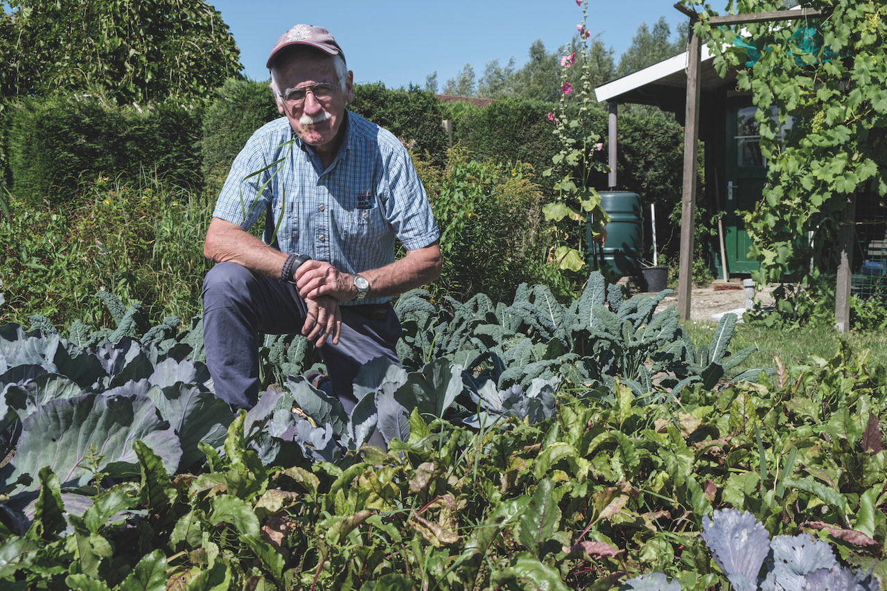 Jan van Os - tuinieren moestuin Geboren 28-06-1934 Houdt een grote moestuin bij; loop nog de Nijmeegse vierdaagse en wielrent 'Als je geen plannen meer maakt, dan ben je oud'