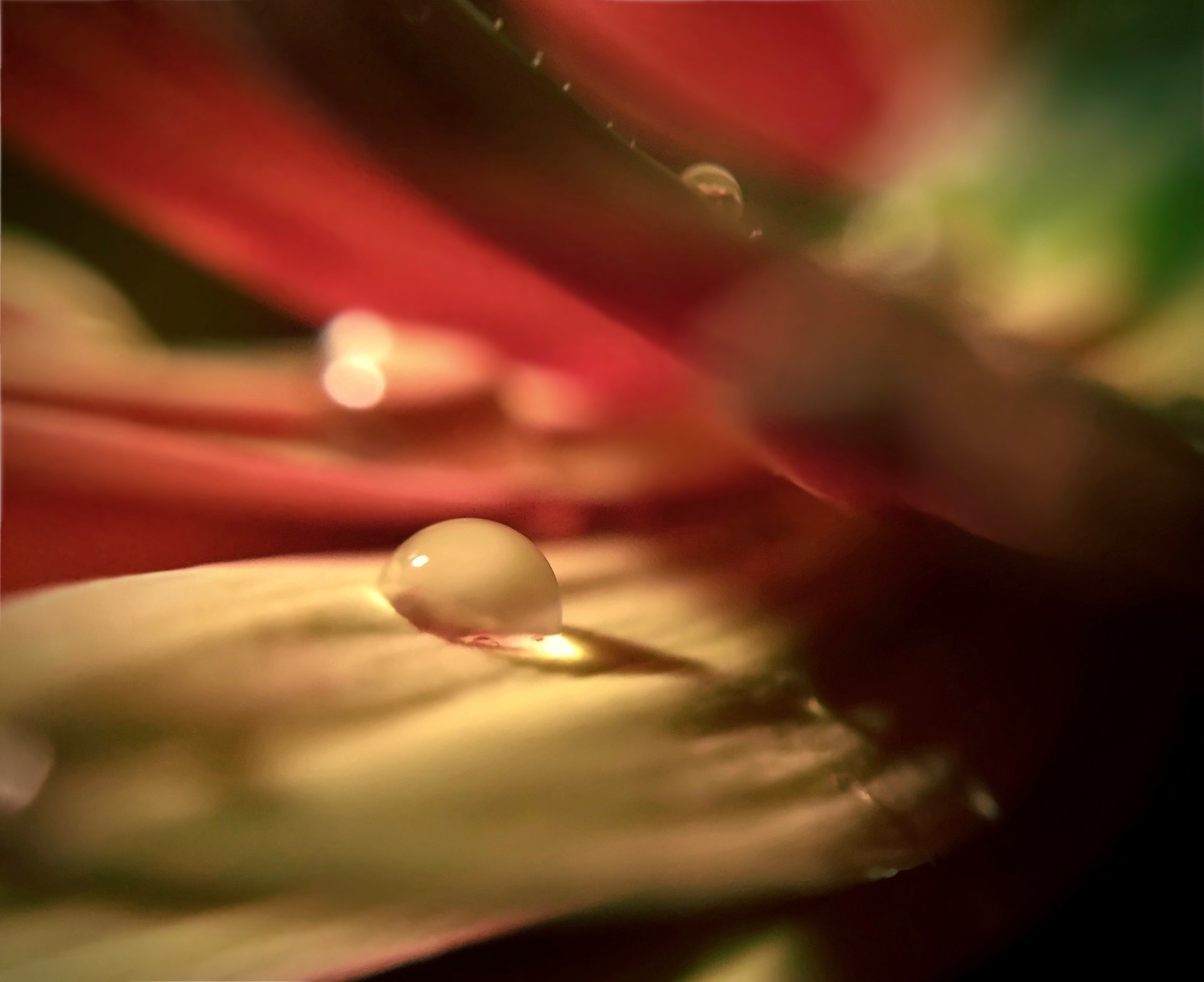 Just put one under your tongueges