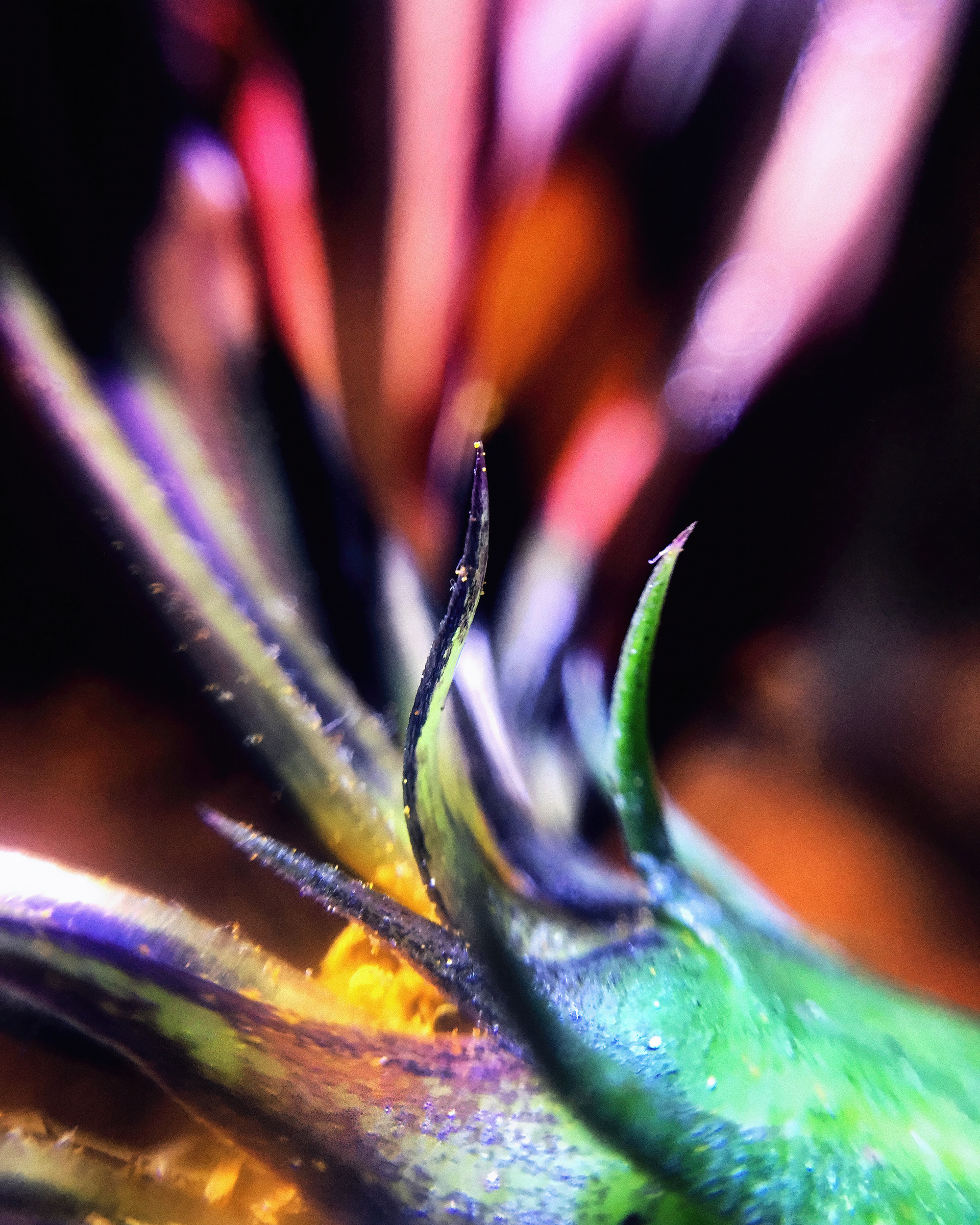 I could've been underwater