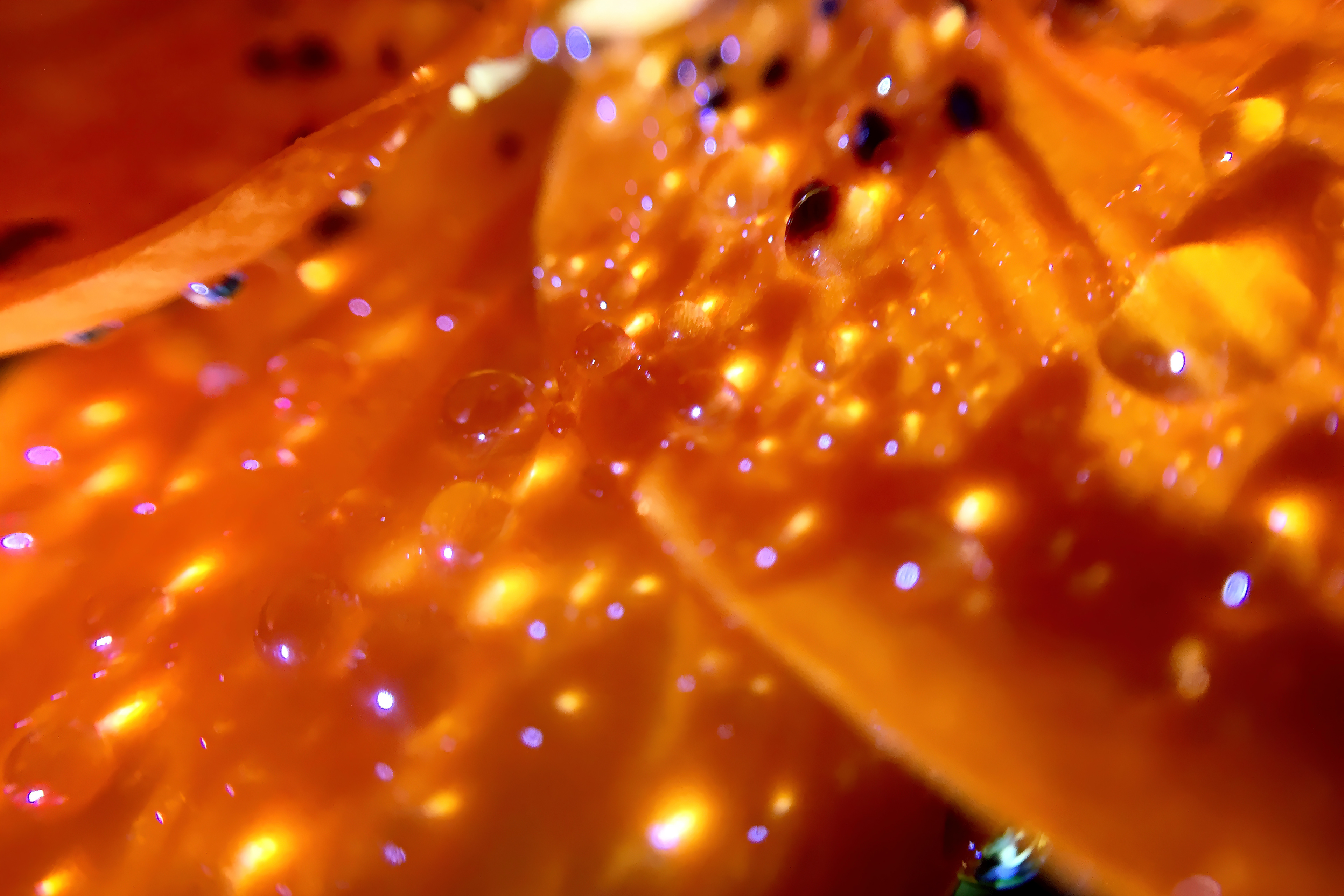 Manchester Dancehall 1972