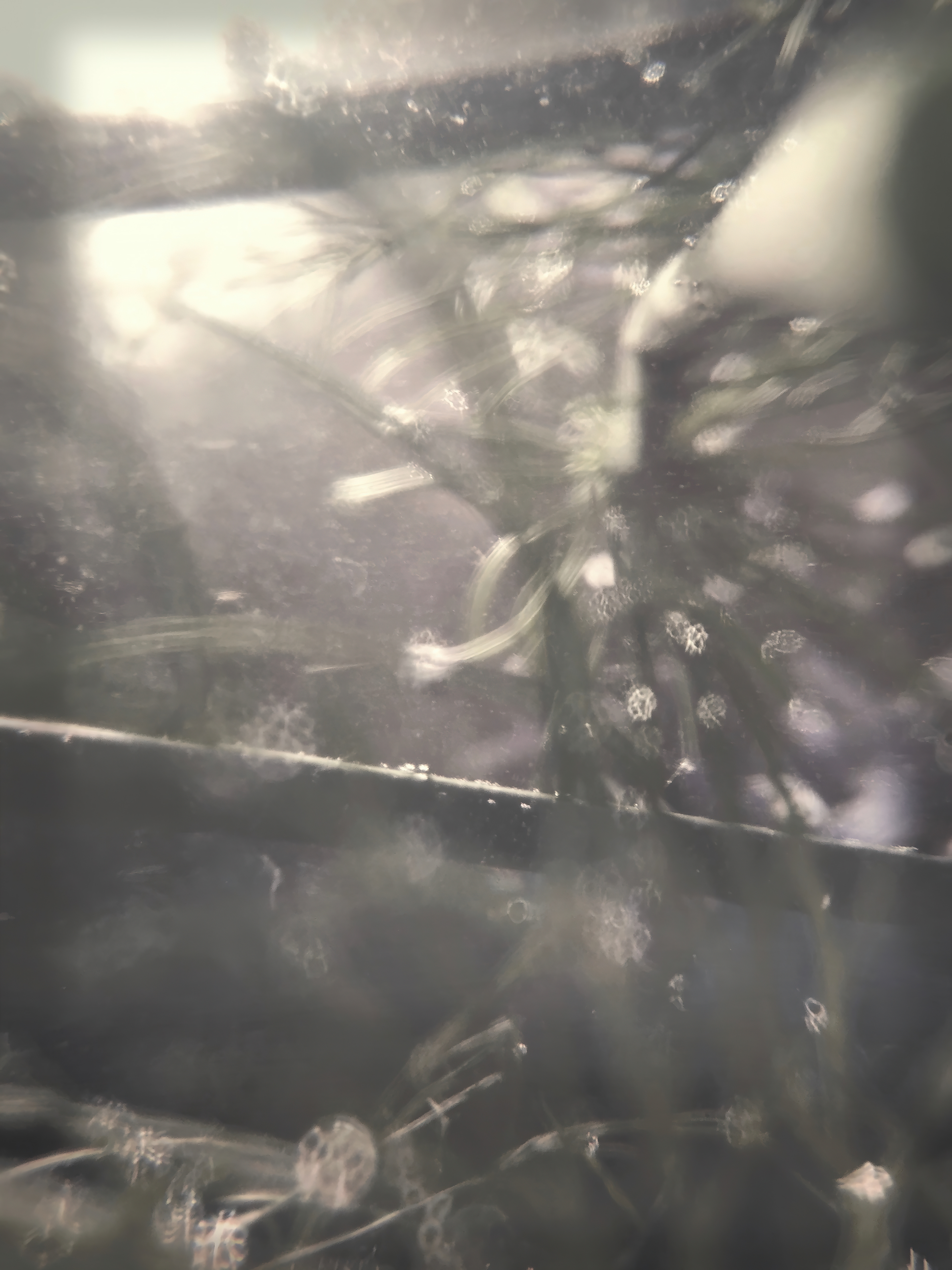 I'd like to visit Japan