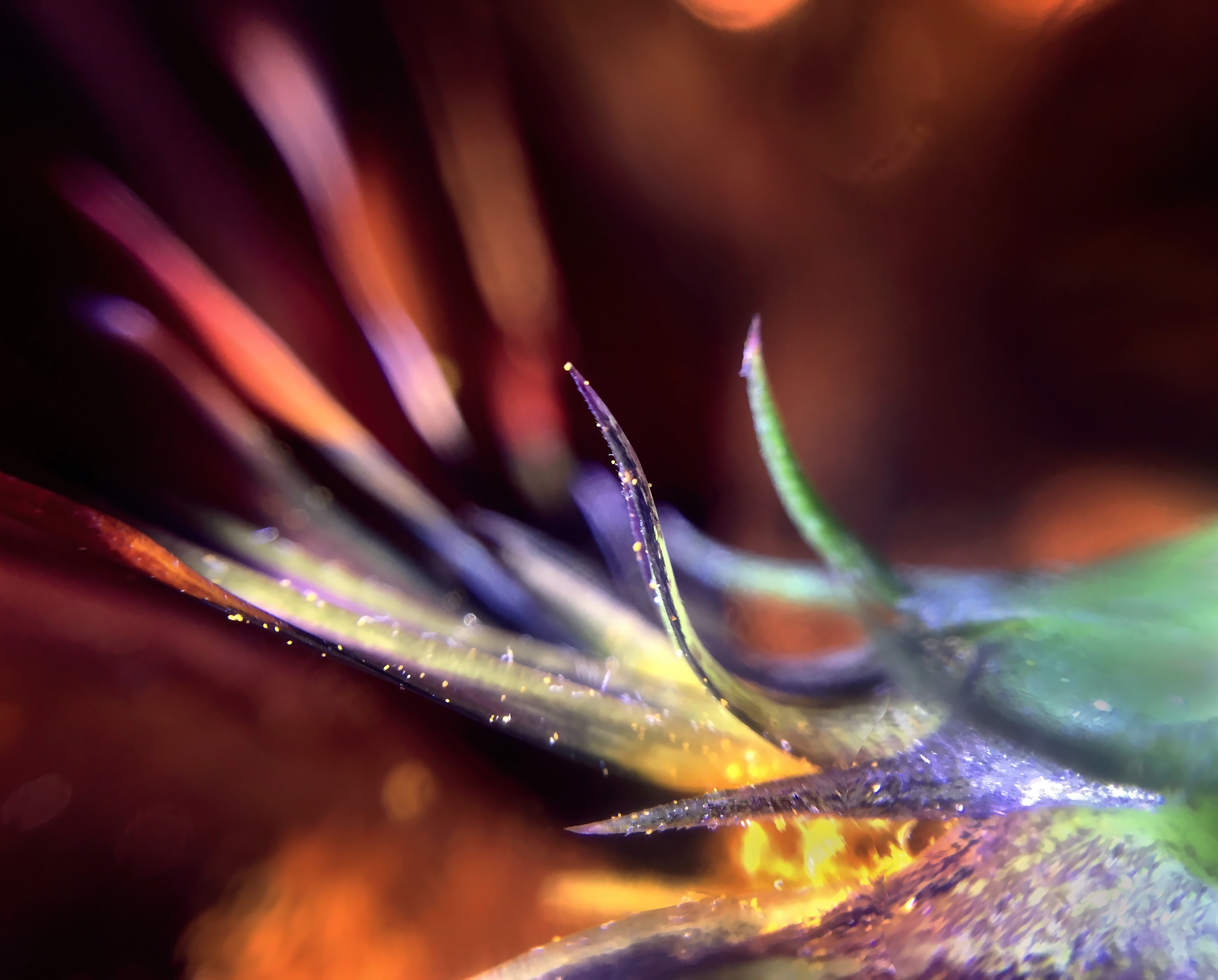 I was just as surprised as you are