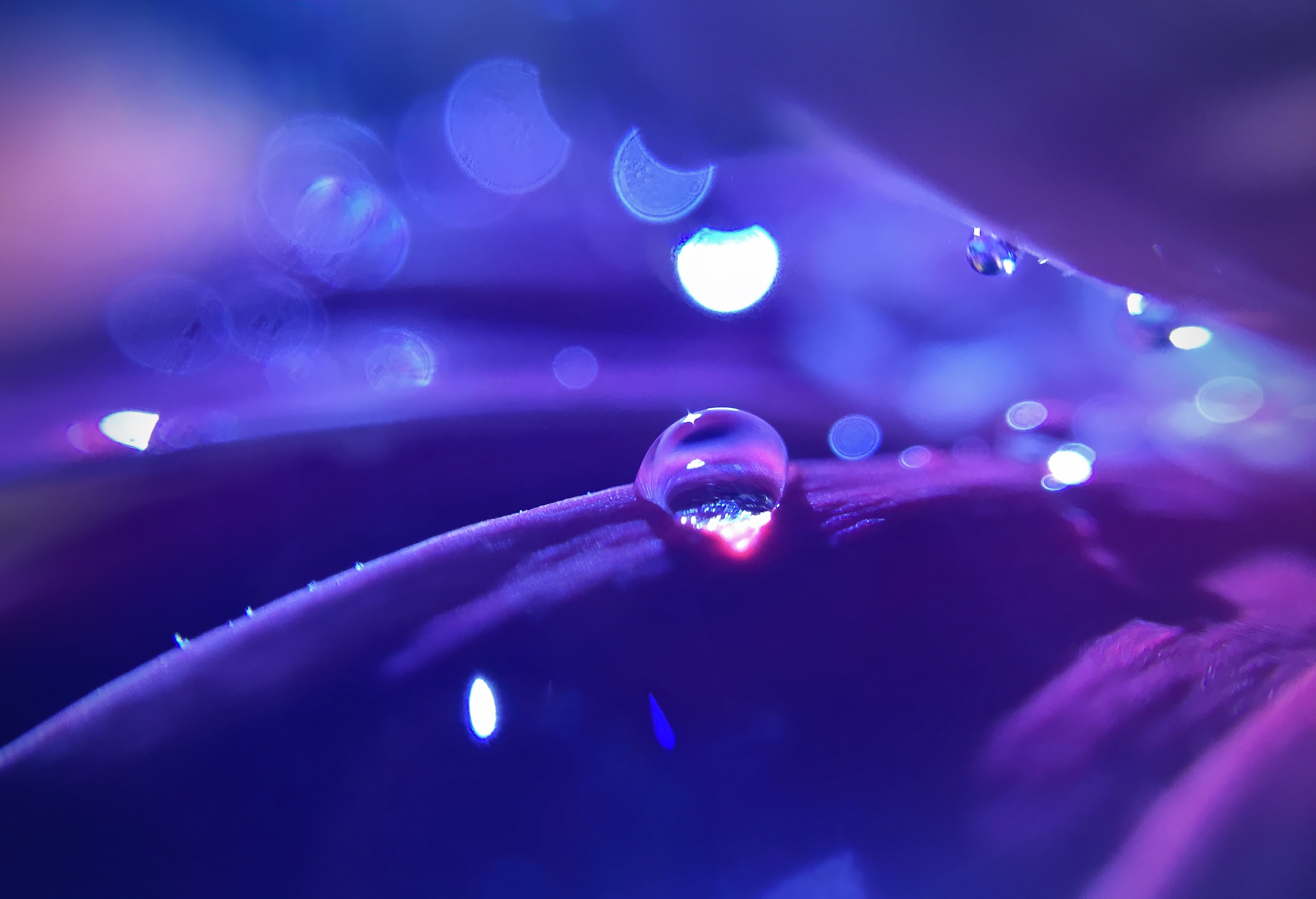 You know what they're singing about tonight