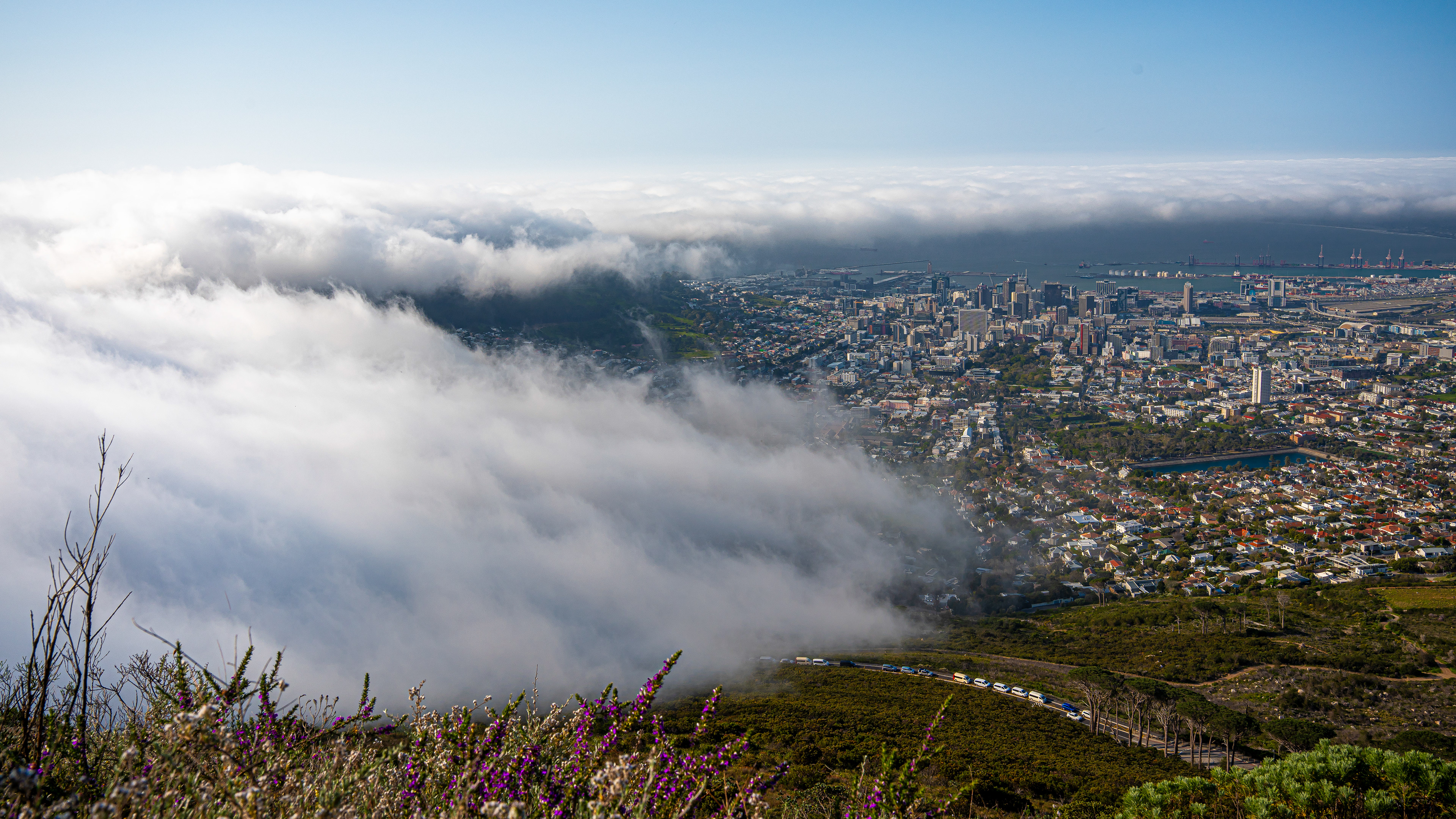 View from Table Mountain