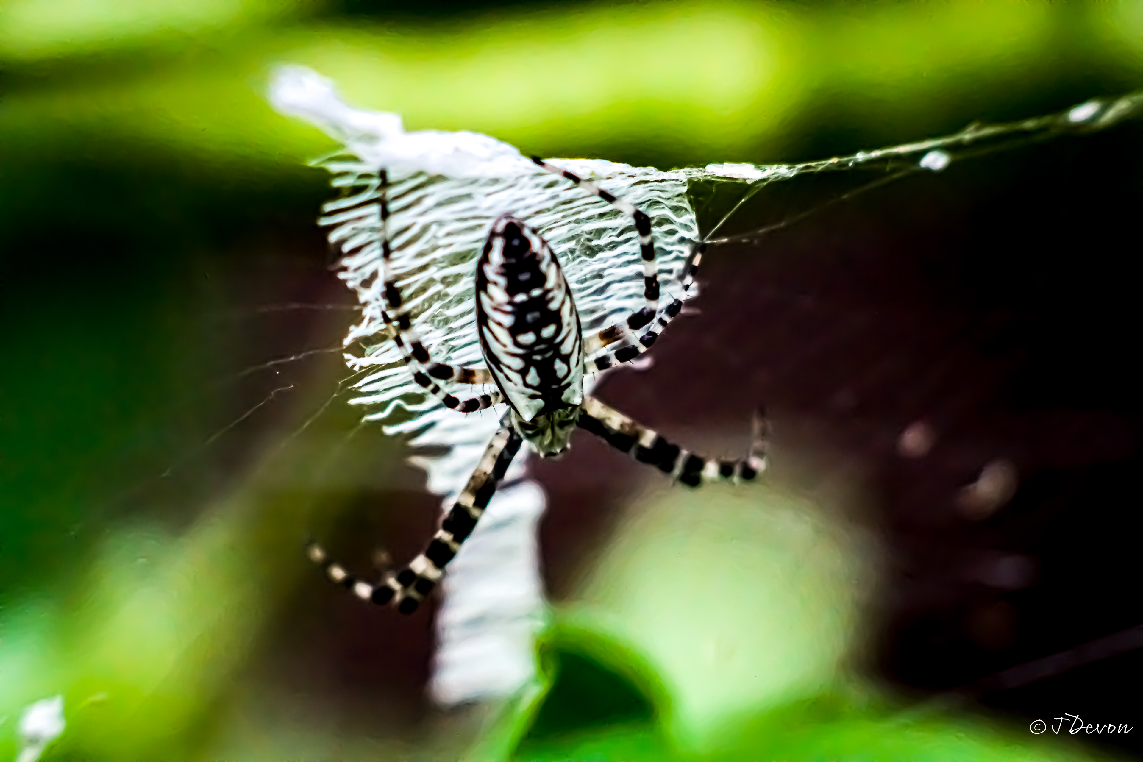 North Richland Hills, Texas