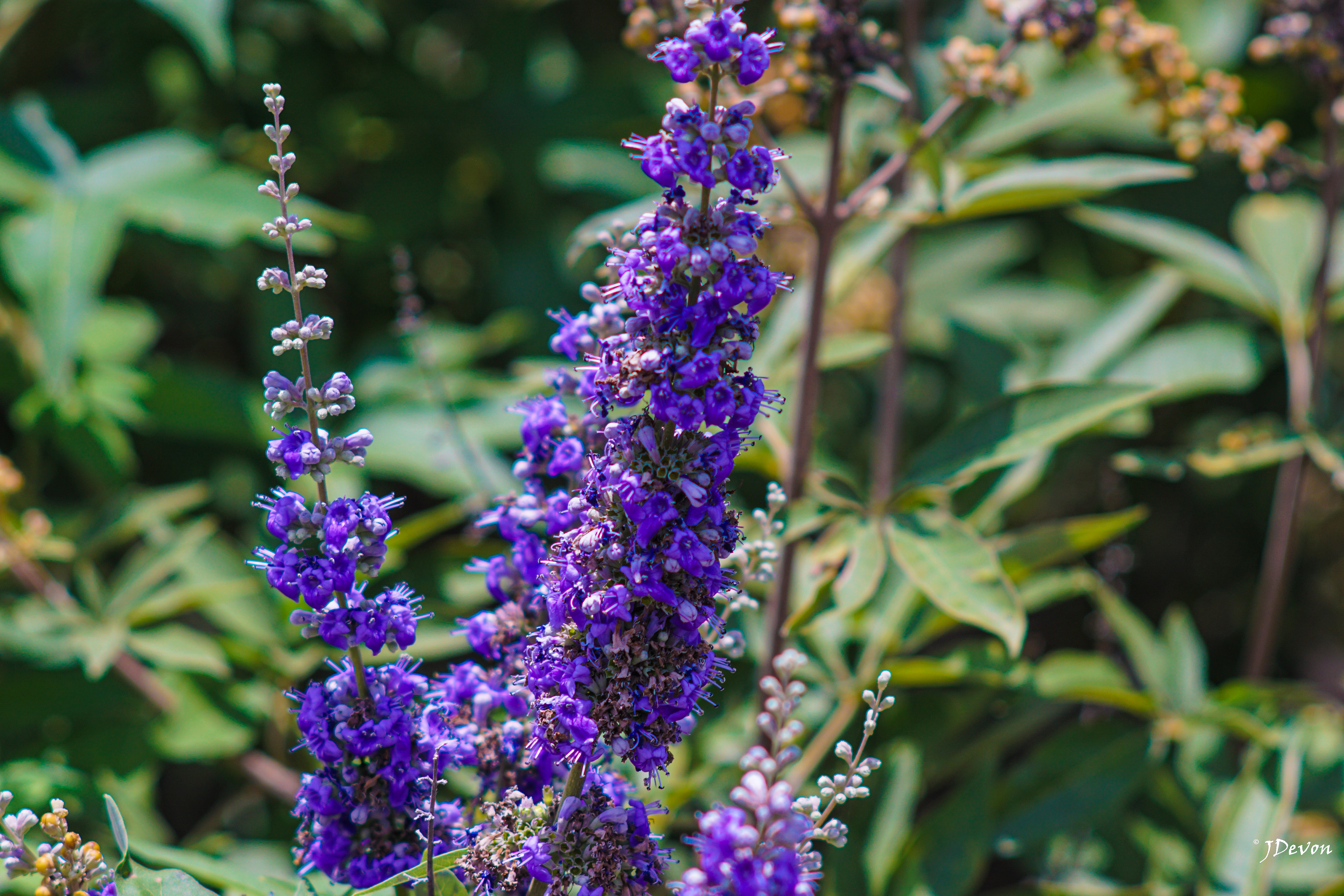 North Richland Hills, Texas