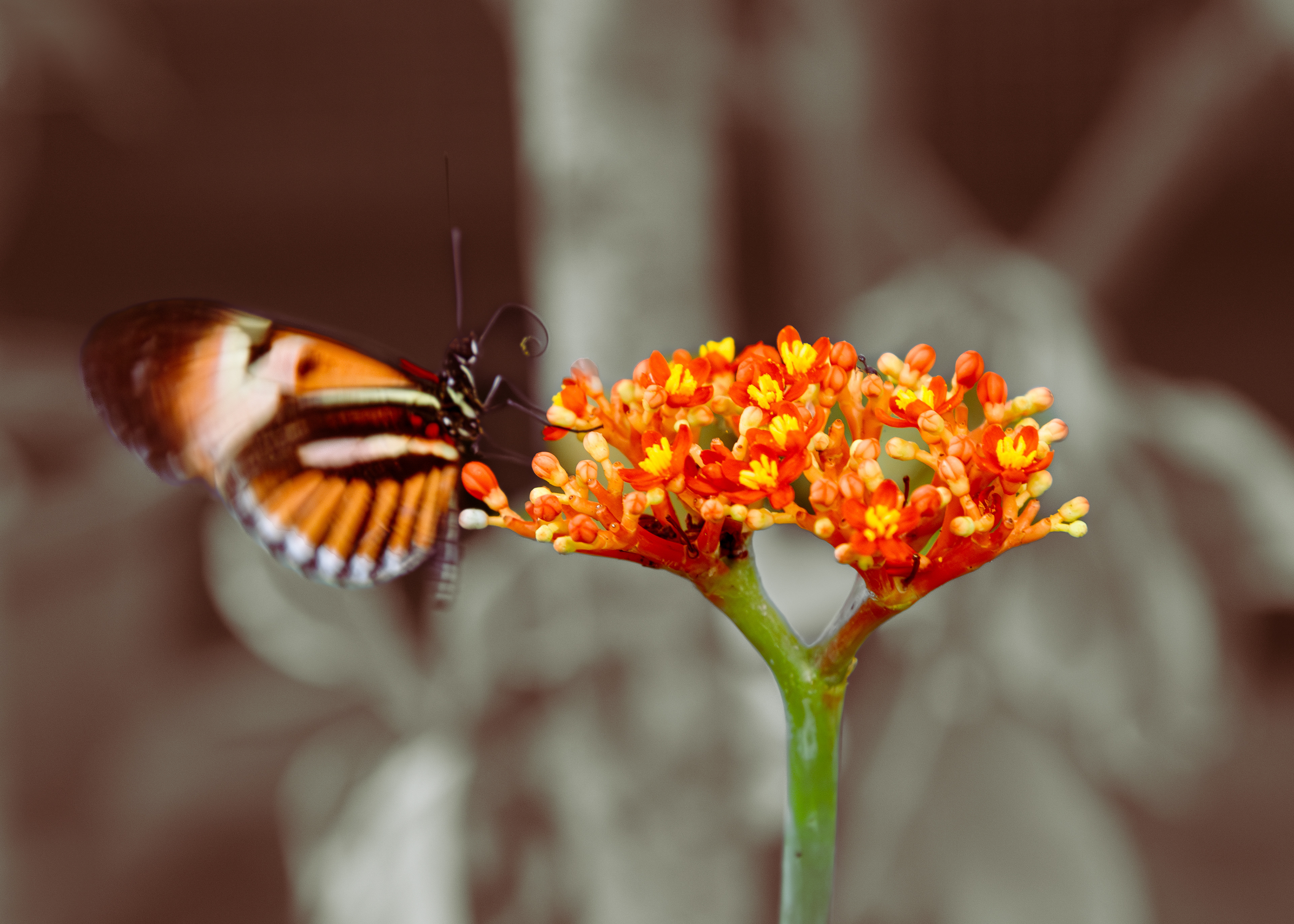 Everywhere You Touch Comes To Life Part I