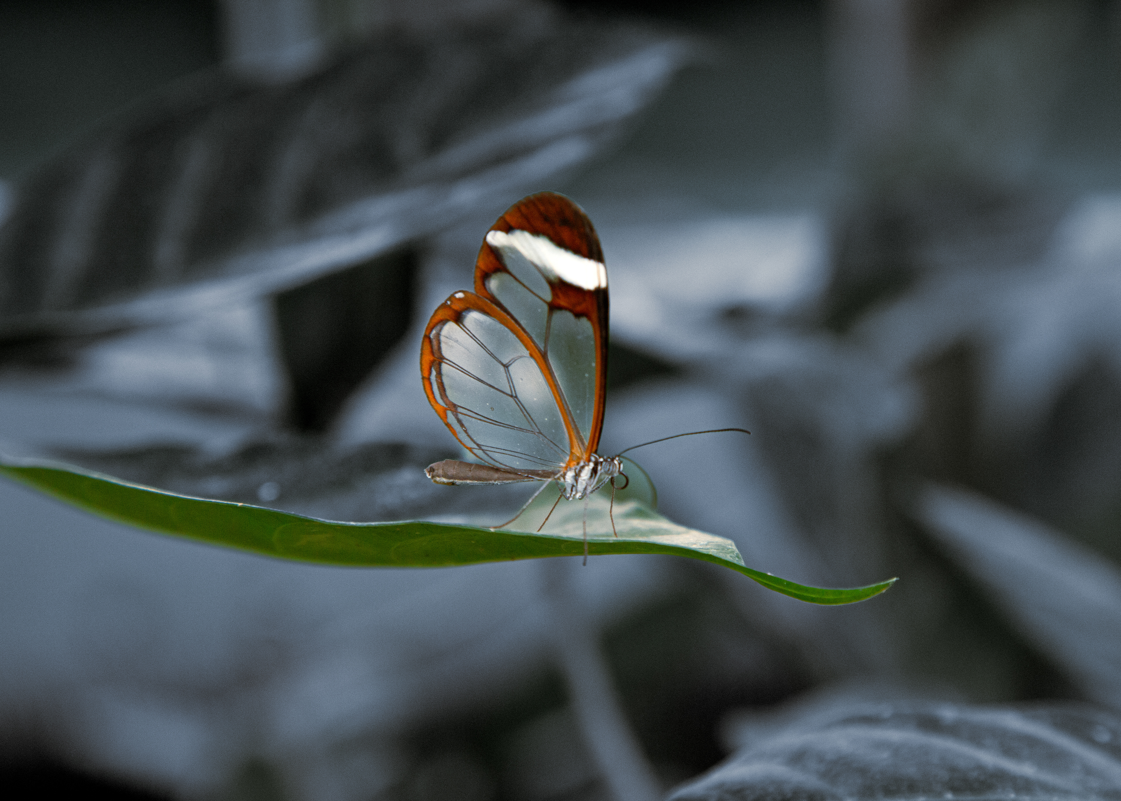 Everywhere You Touch Comes To Life Part II