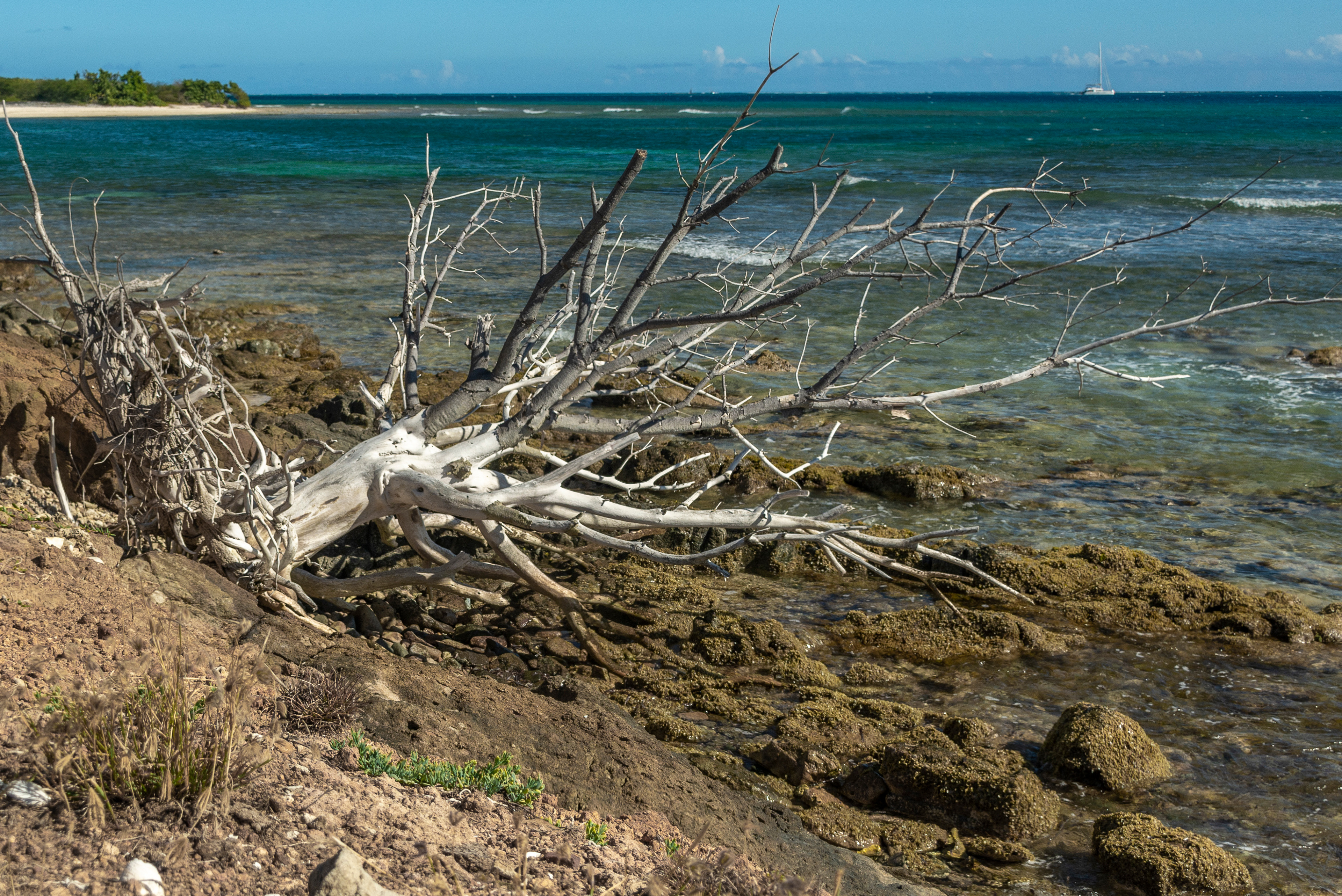 St John's, Antigua and Barbuda