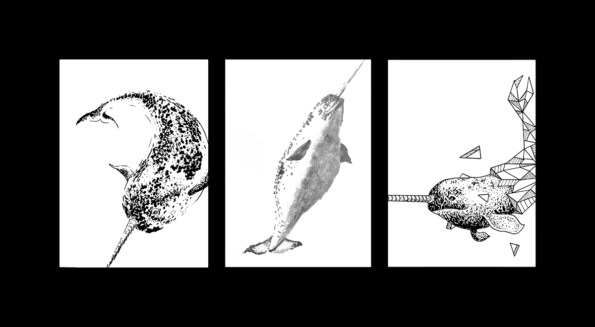 NARWHAL STYLIZATION STUDIES