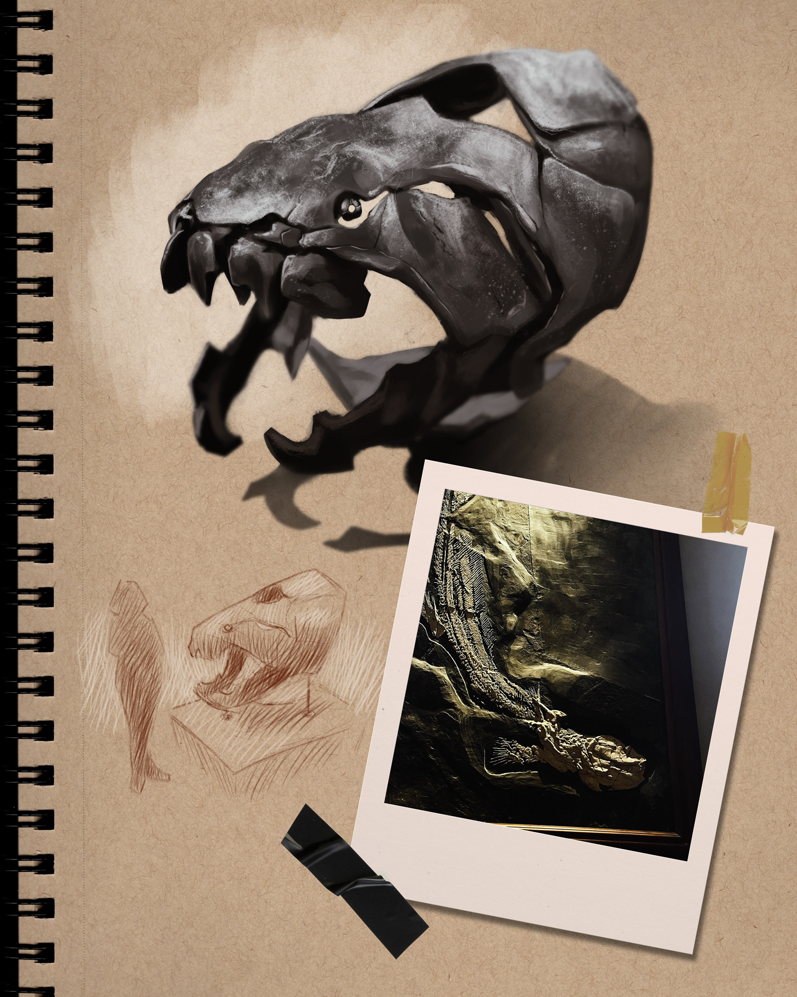 Dunkleosteus Skull