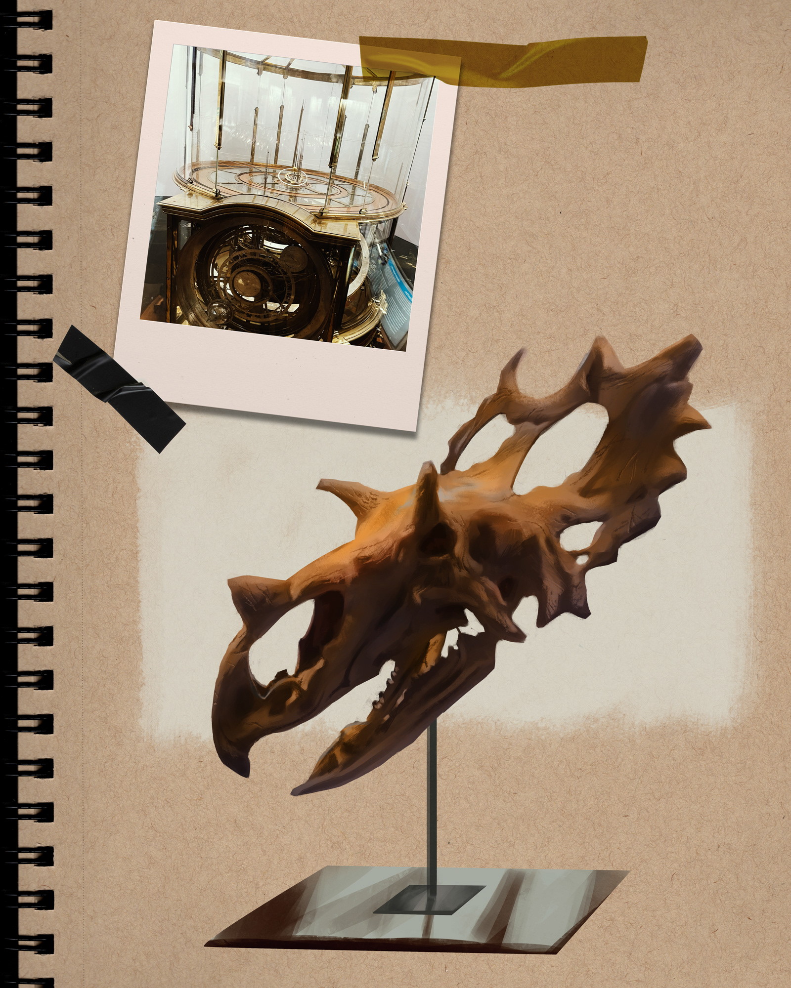 Triceratops Skull