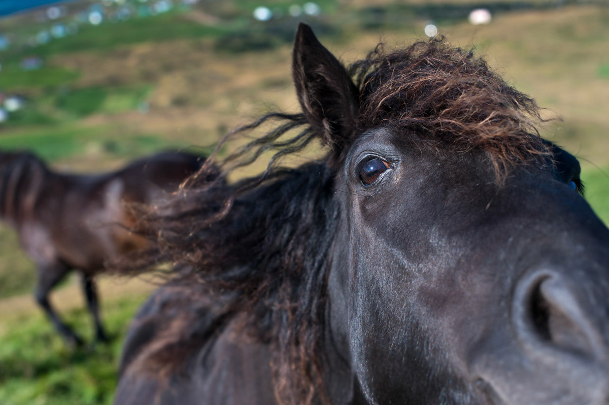 Tell me your secrets