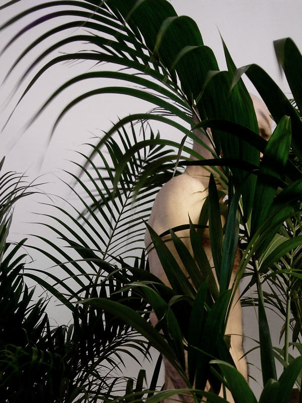 Lost / Emotional Jungle. Perdu dans mes pensées, dans mes émotions. Simplement lost.