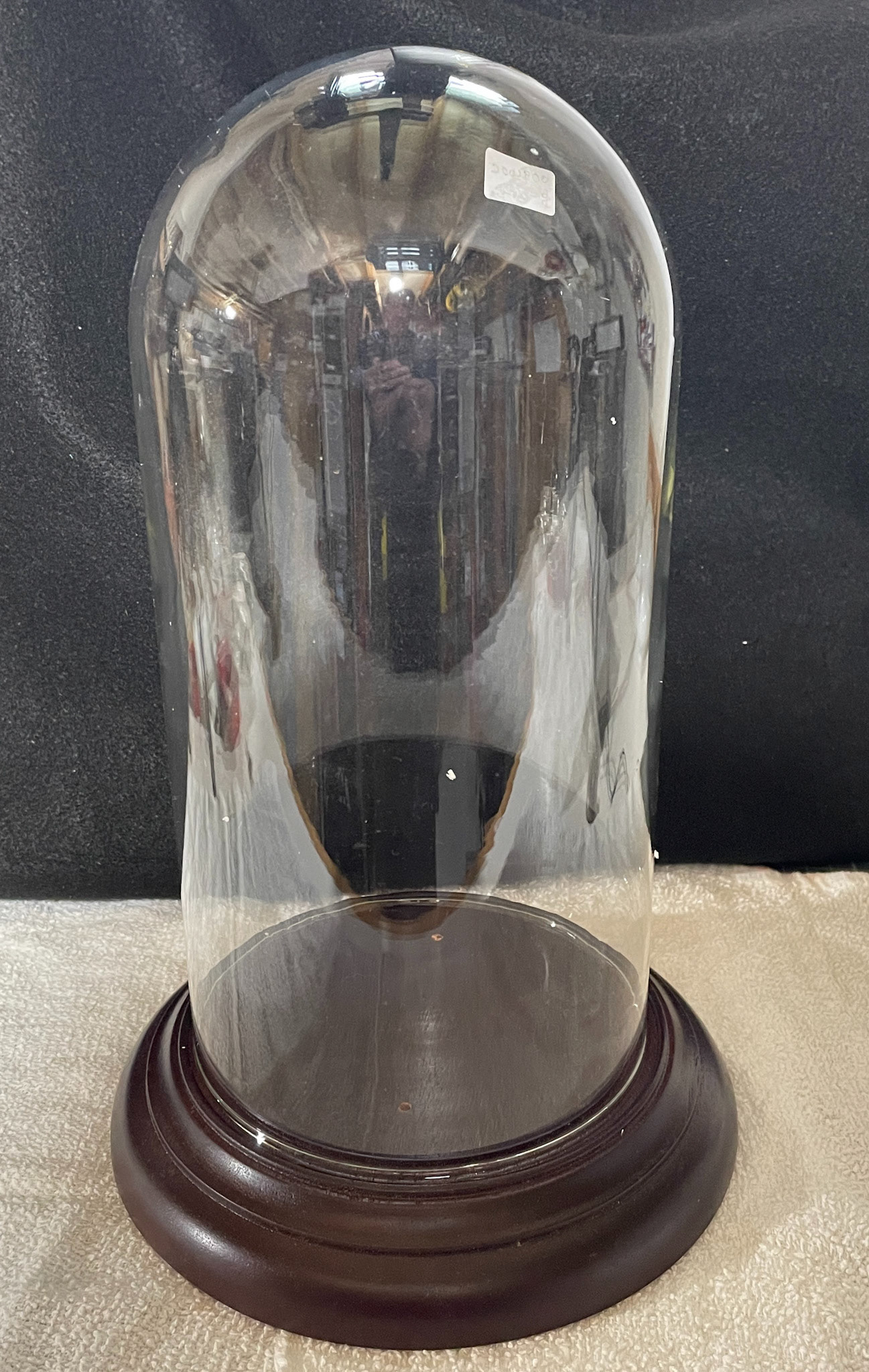 glass dome w/base