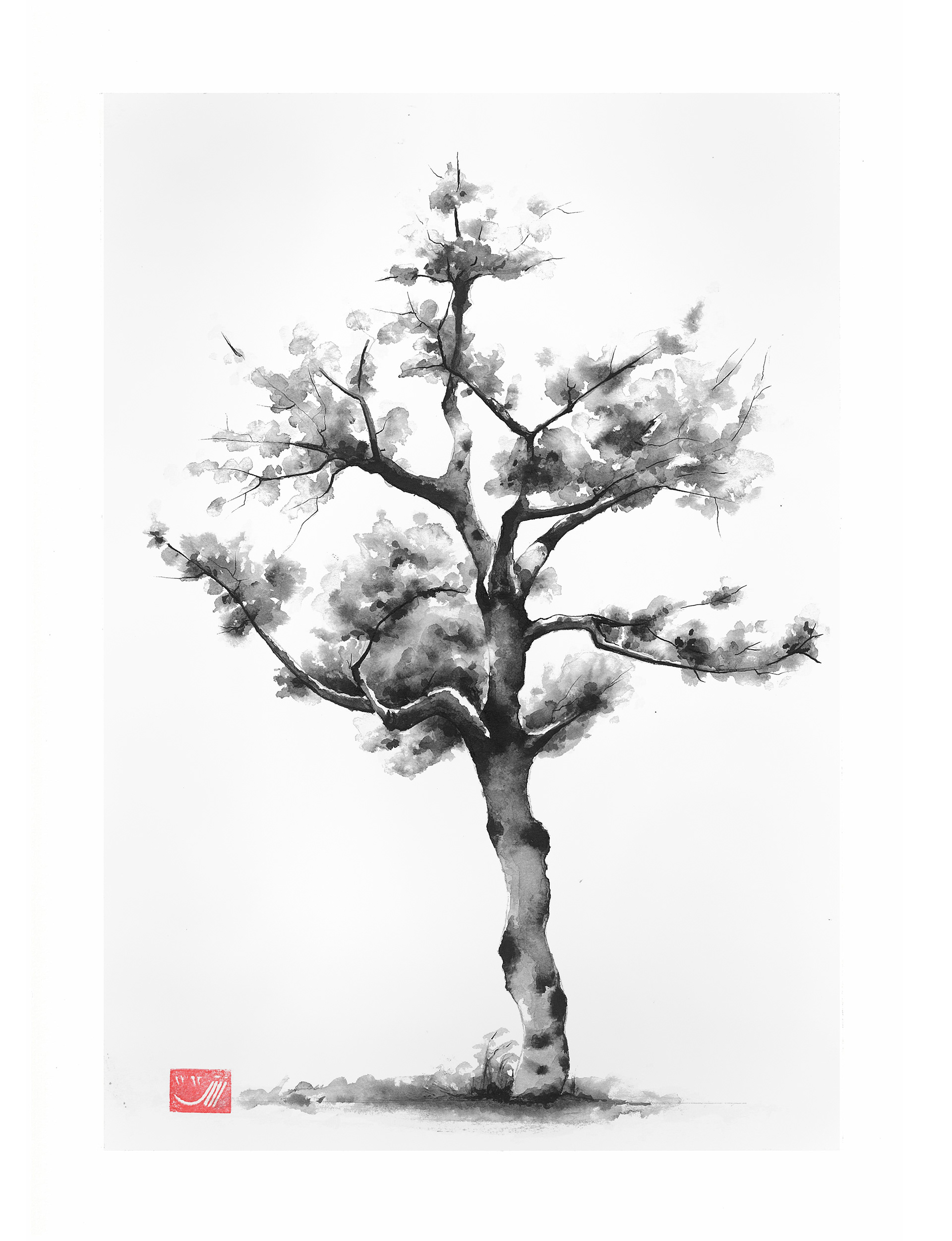 No.3, 33 x 25 cm, Kobe