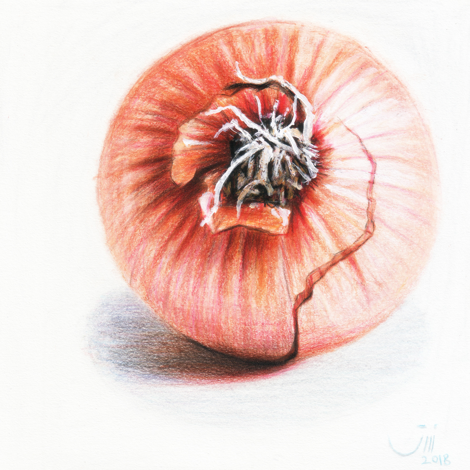 No.120, 17 x 17 cm