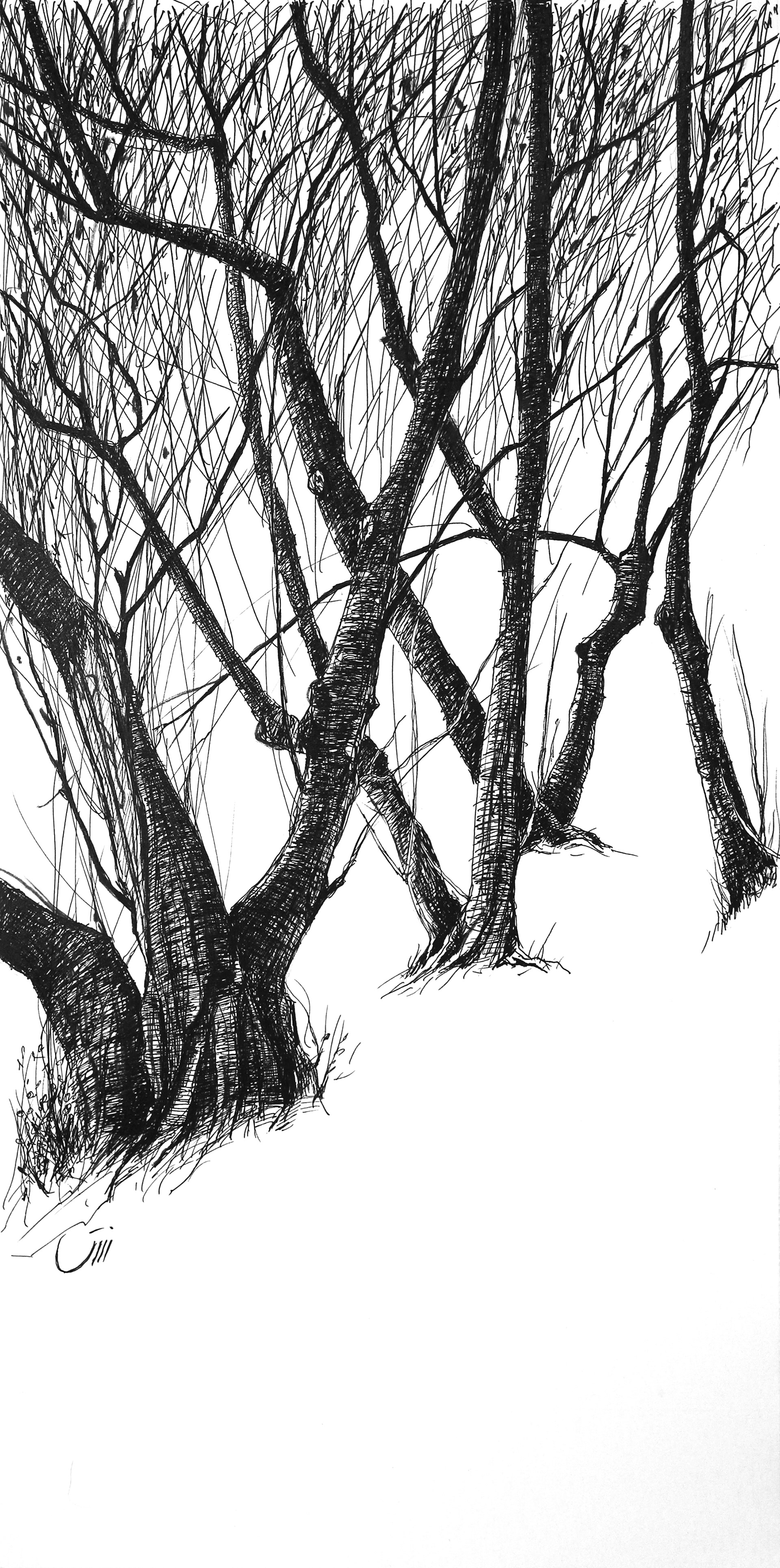 No.36, 46 x 23 cm, Nagoya