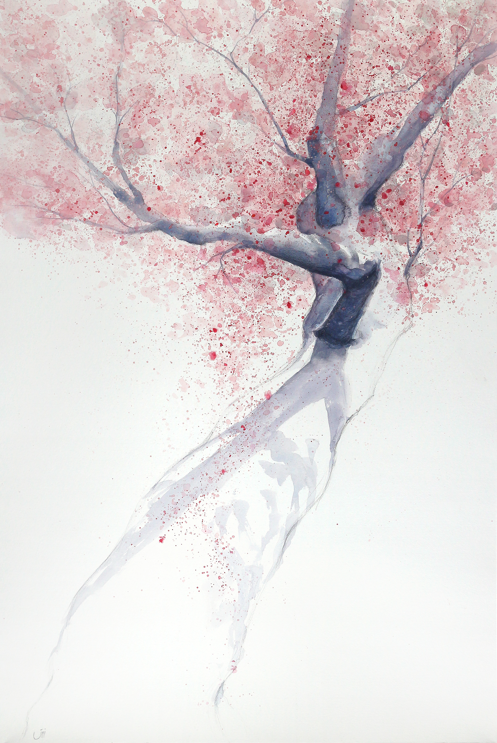 🔴No.30, 100 x 65 cm, Akashi