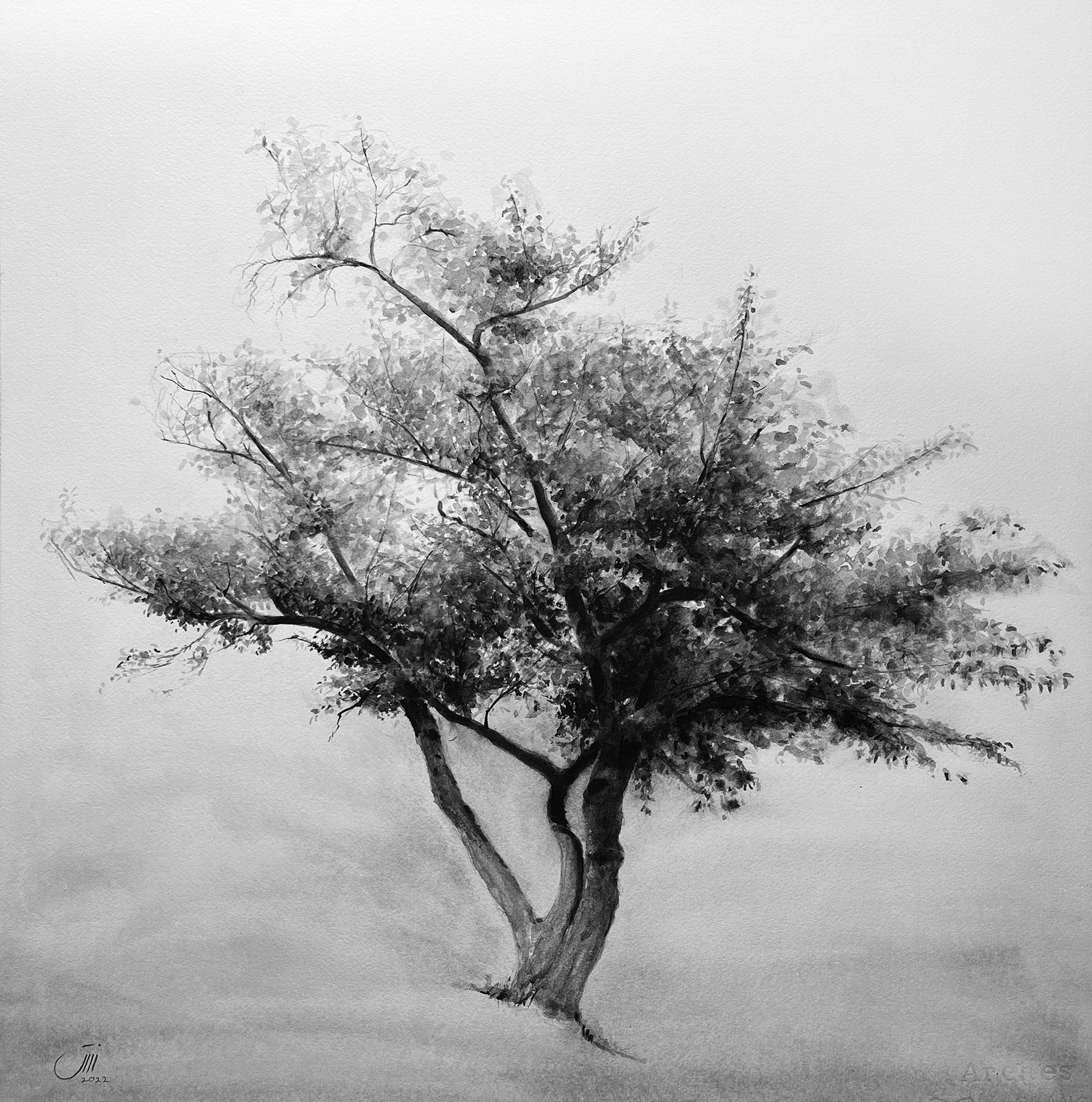 🔴No.33, 53 x 53 cm, Nagoya