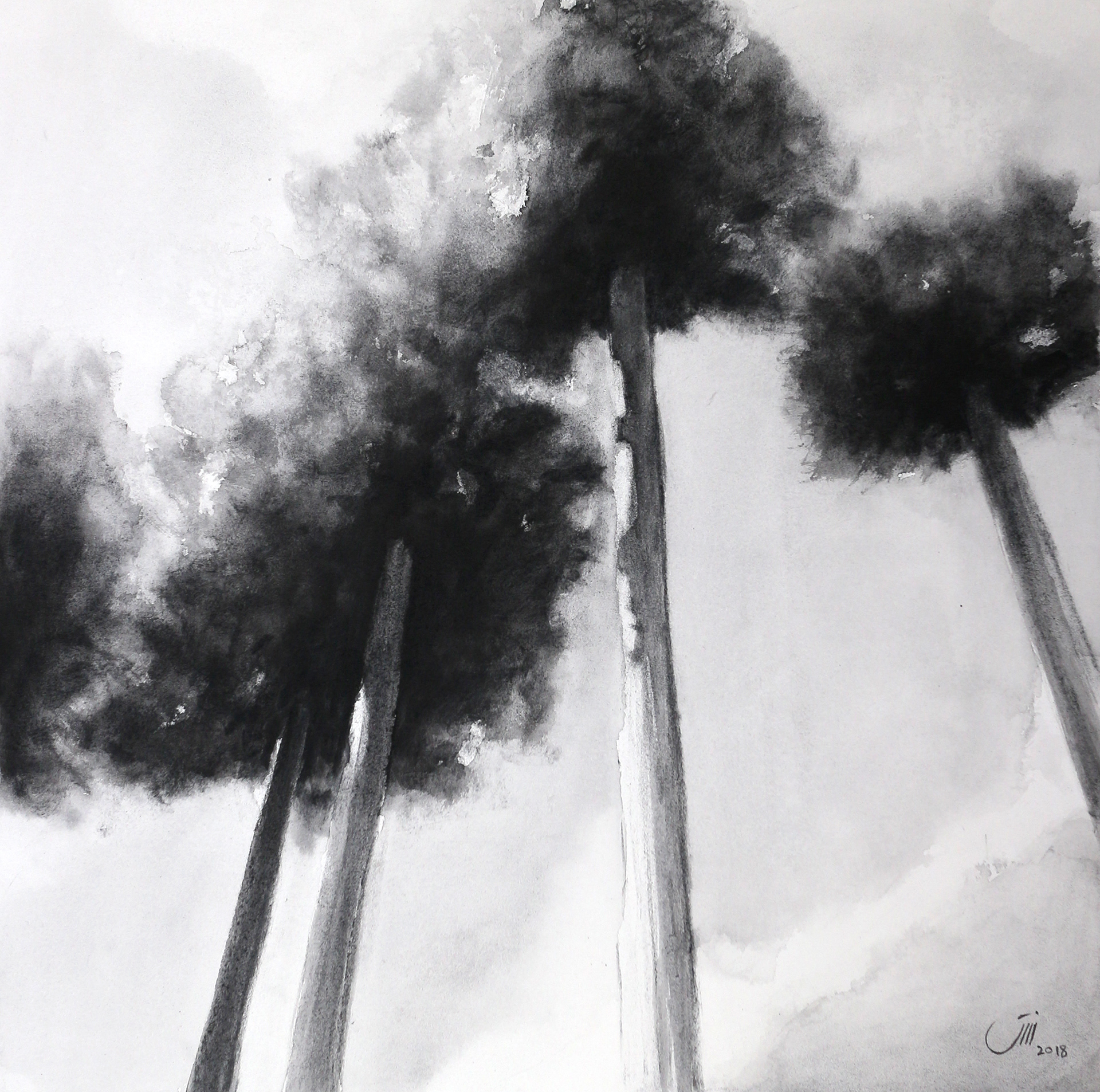 No.28, 41 x 41 cm, Kyoto