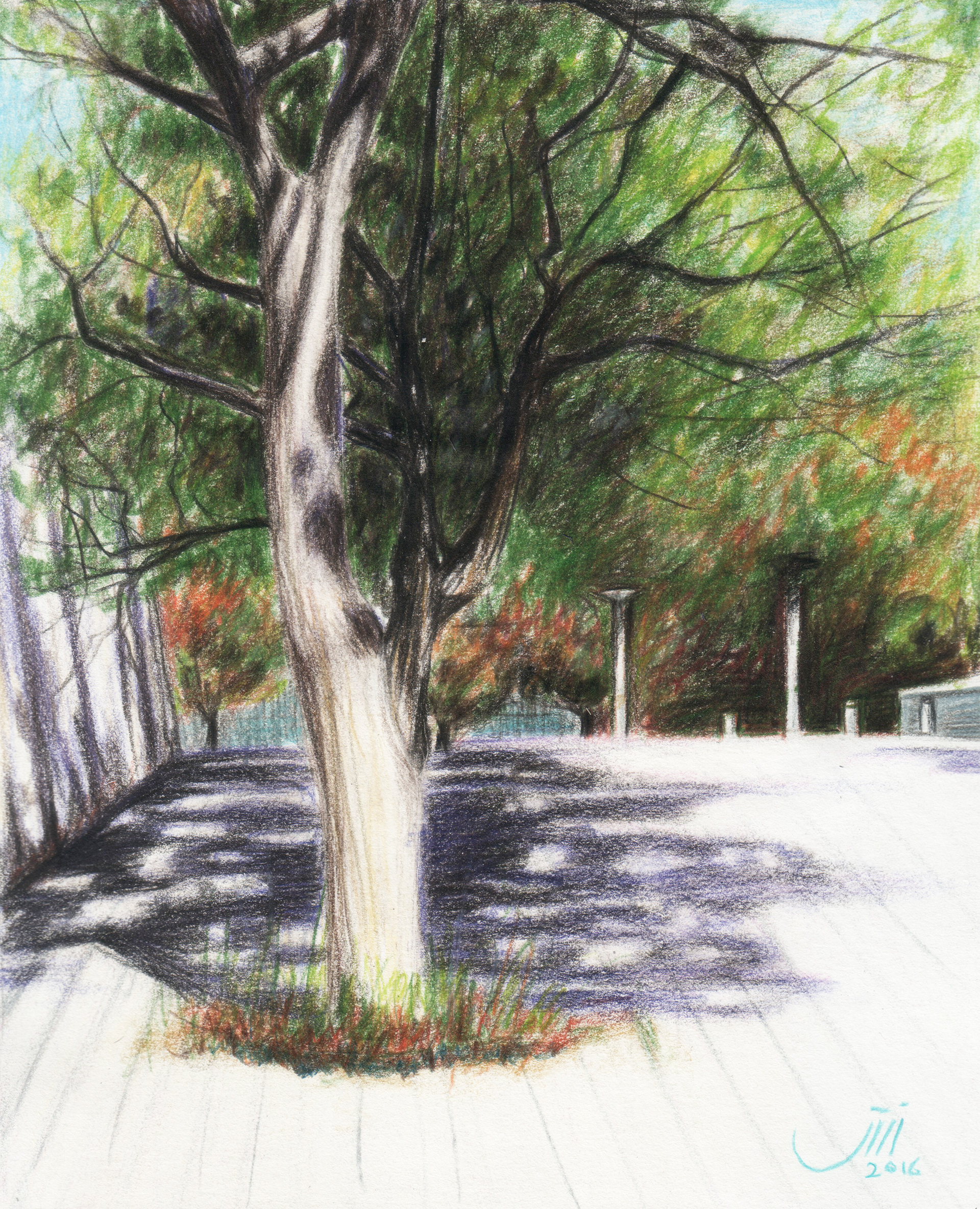 No.51, 20.5 x 17 cm