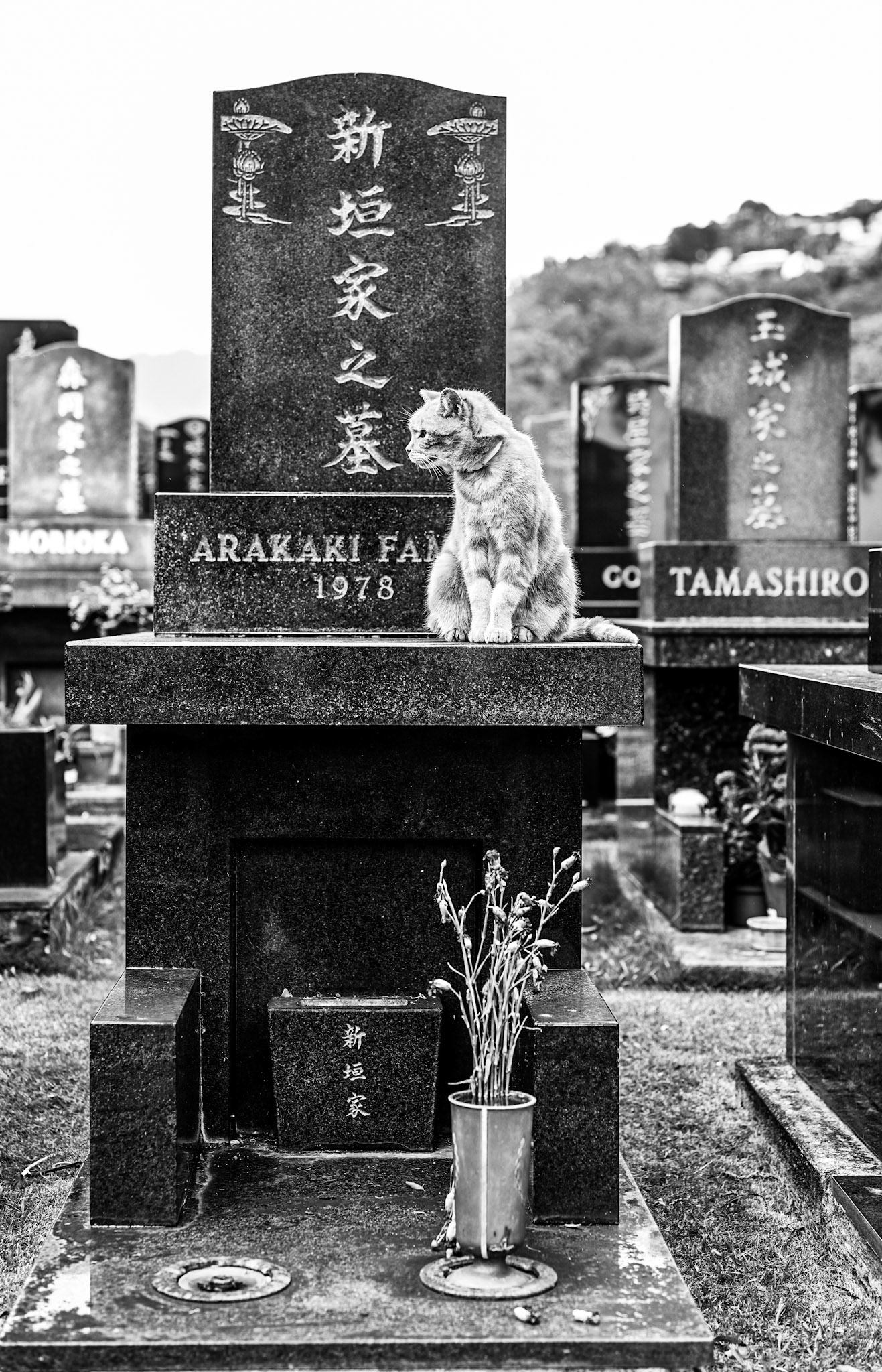 Old Japanese Cemetery in Honolulu