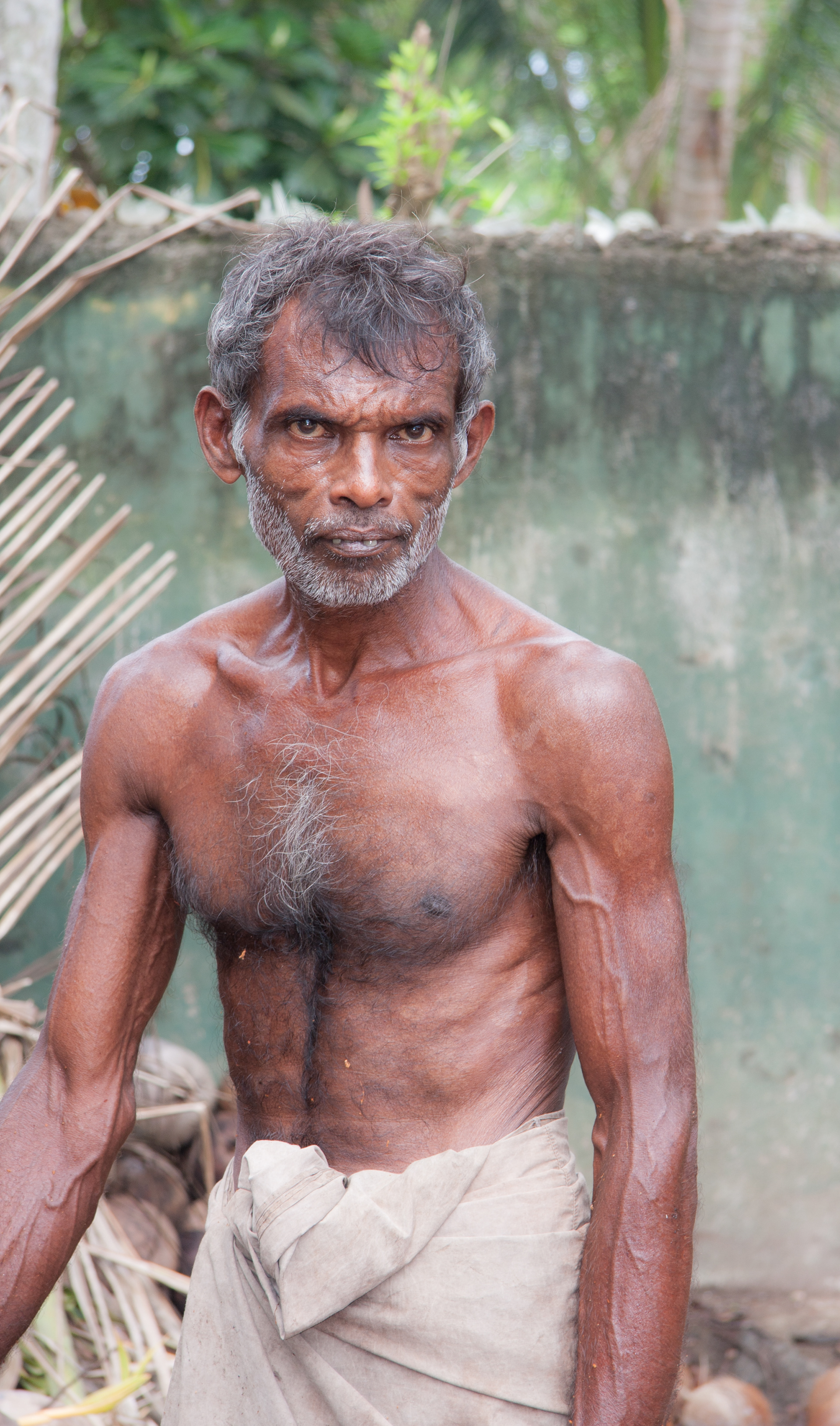 Worker in the coconut farm - Mirissa Beach, Sri Lanka