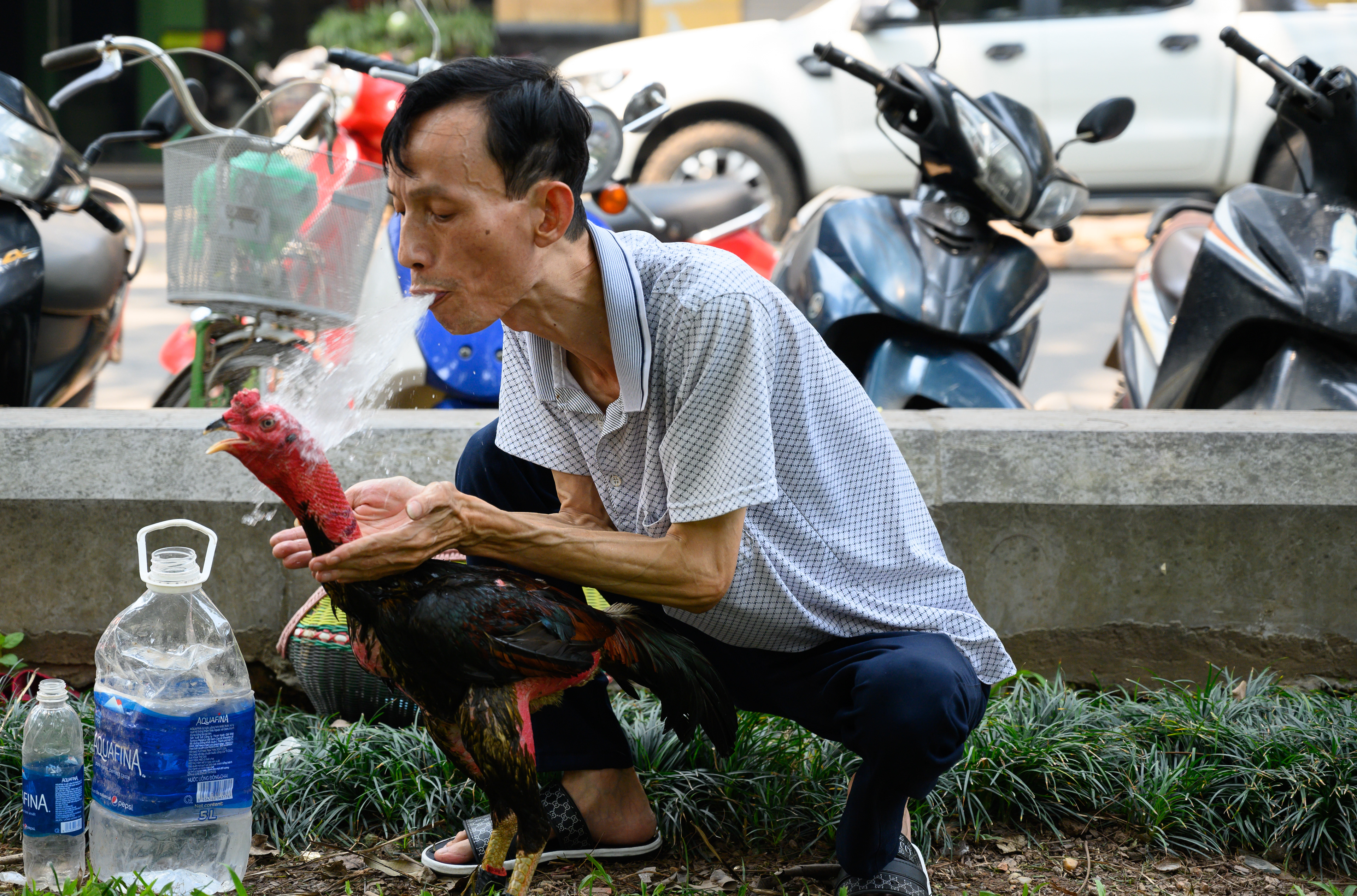 Preparing for the fight - Hanoi