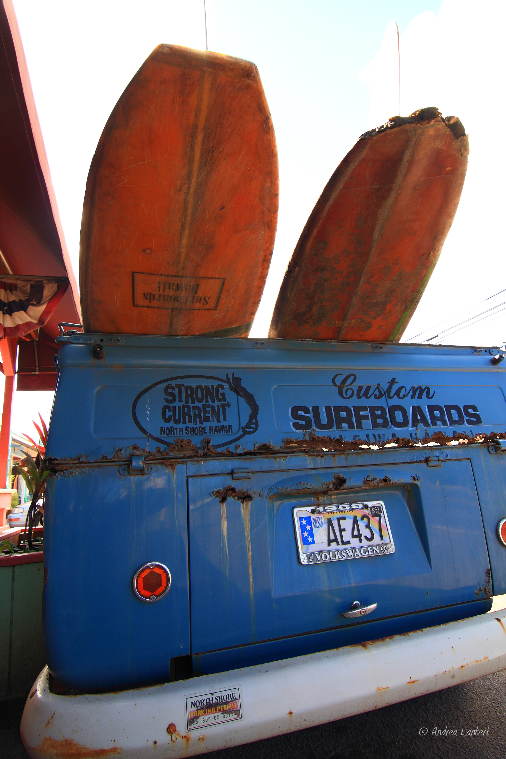 More surfboards