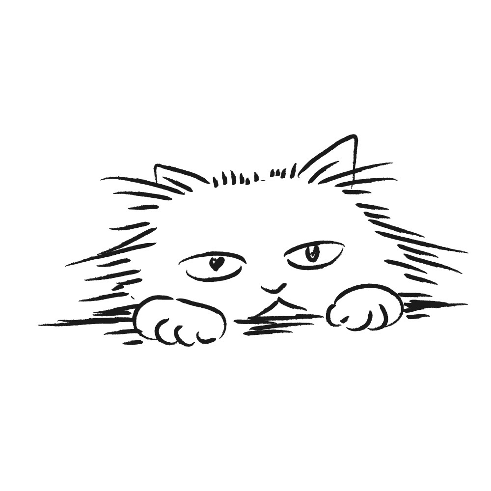2019年制作