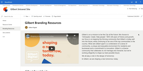 Brand Asset Webpage for Staff