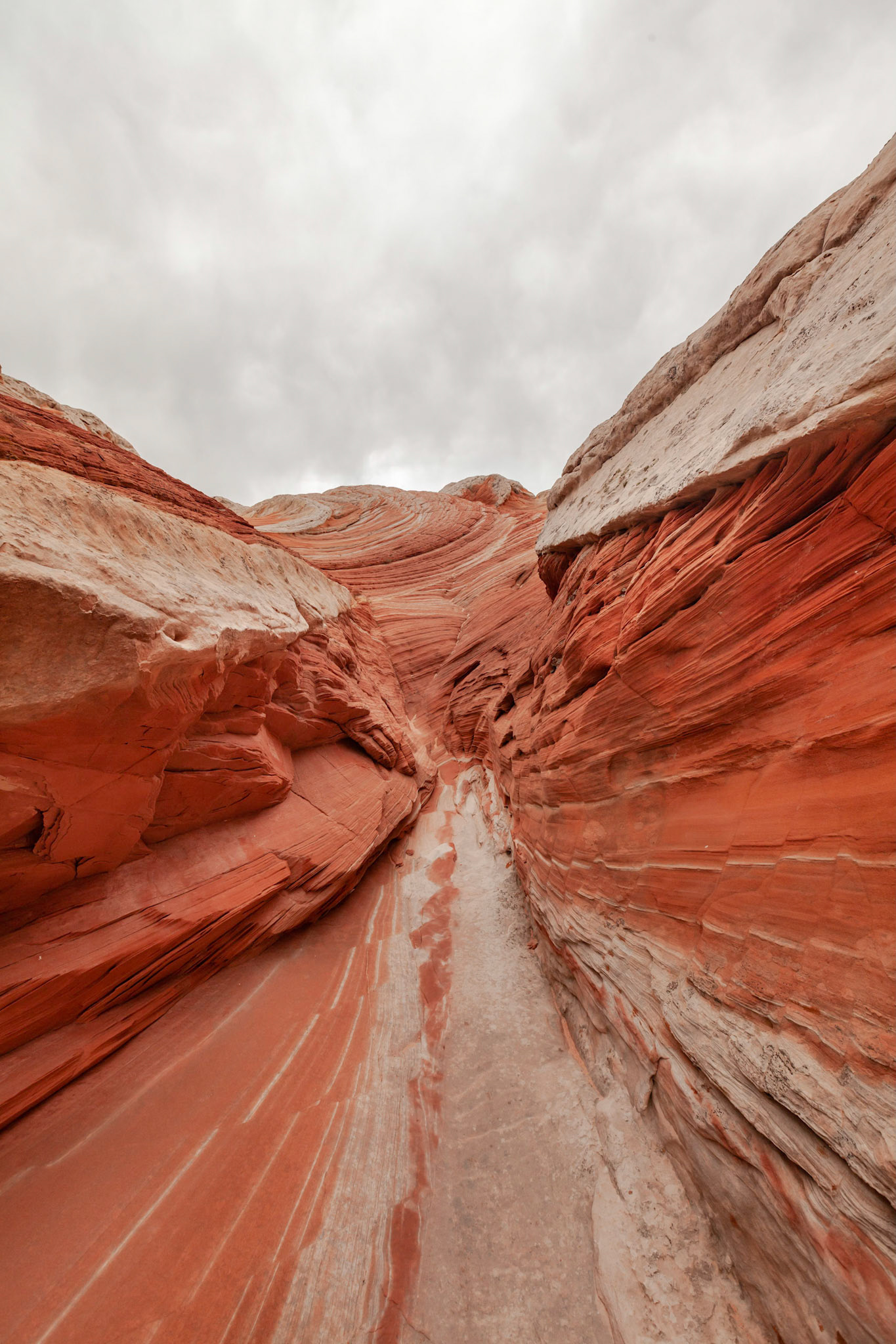 Vermillion Cliffs, AZ